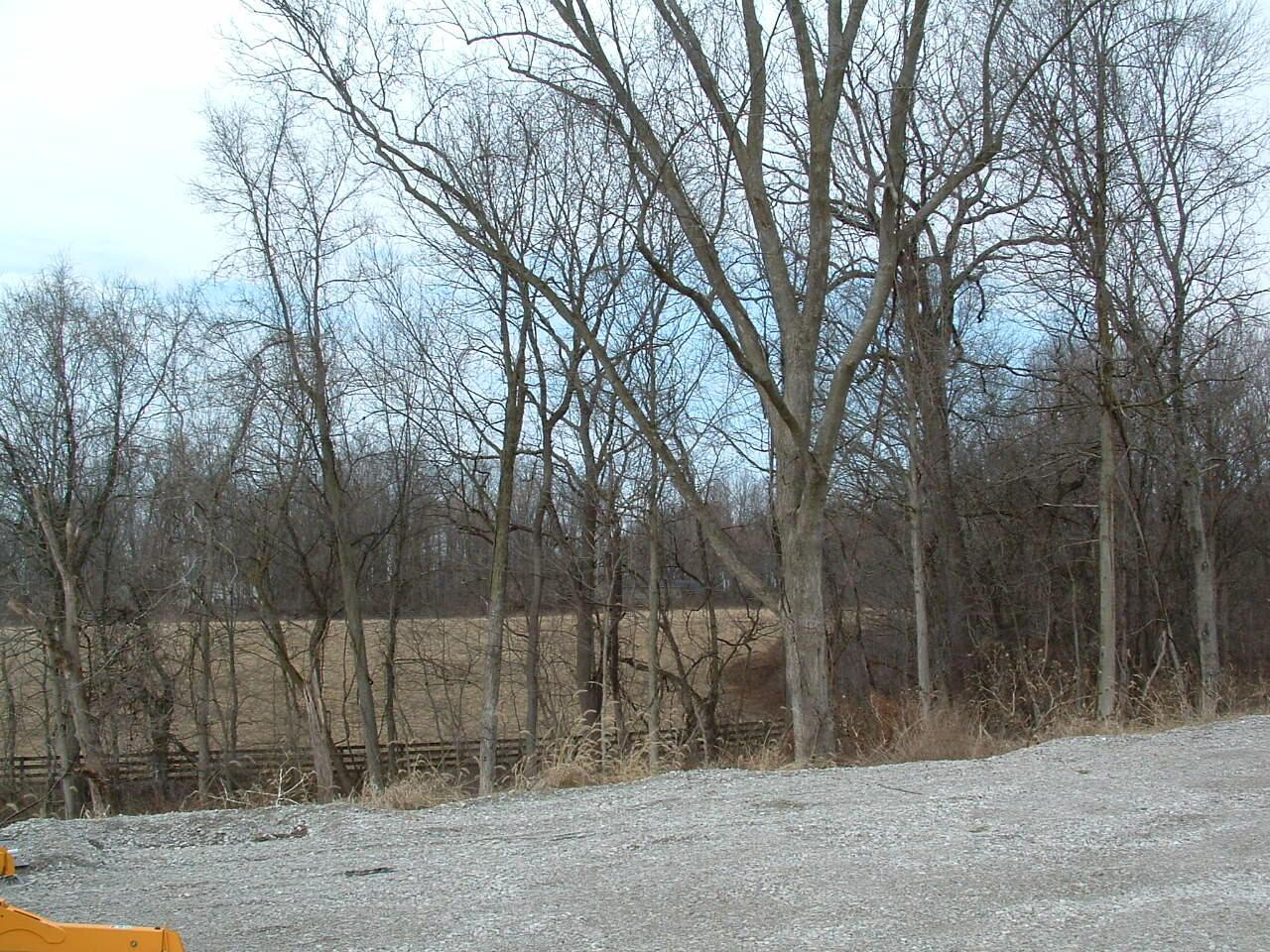 12338 Morse Road Property Photo 4