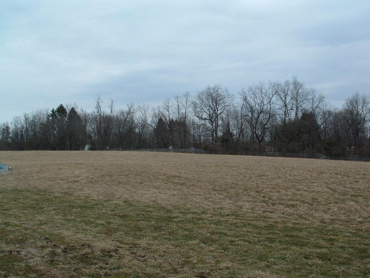 12338 Morse Road Property Photo 21