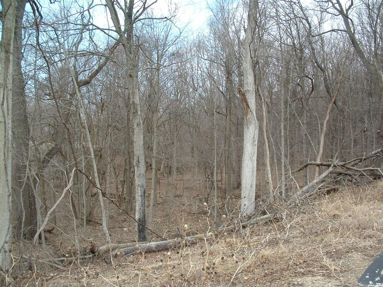 12338 Morse Road Property Photo 23
