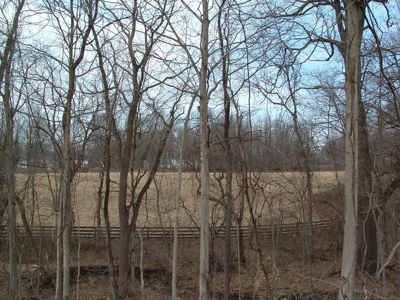 12338 Morse Road Property Photo 24