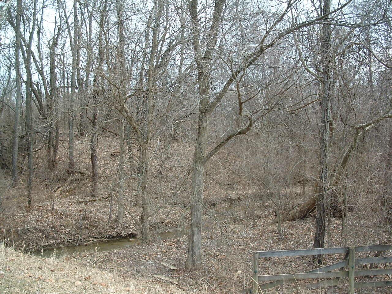12338 Morse Road Property Photo 31