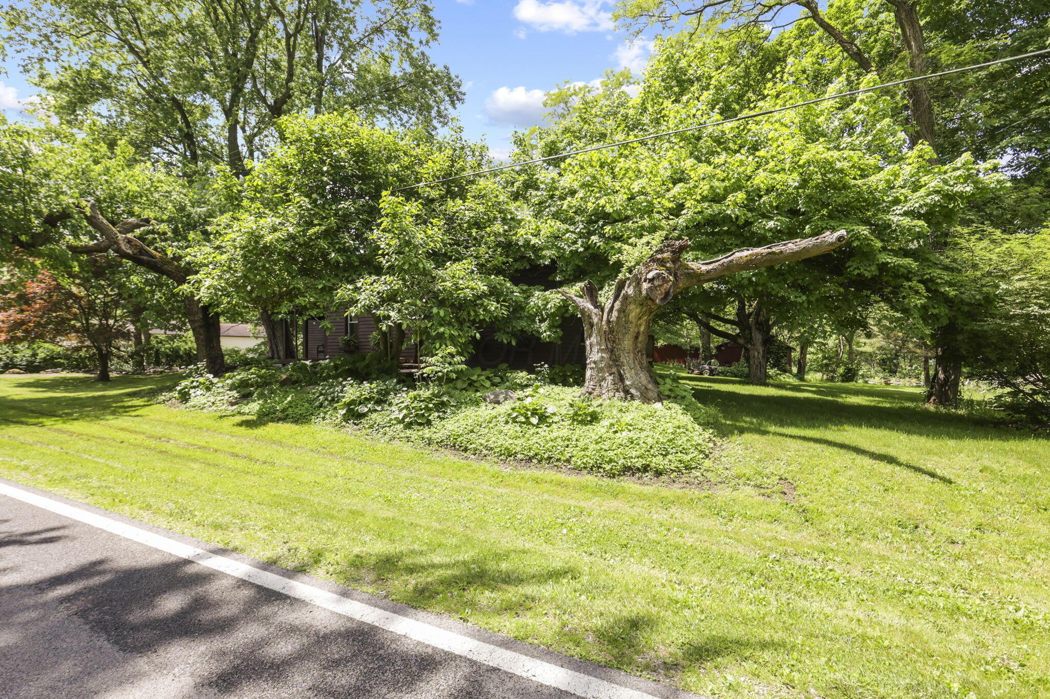 3388 Outville Road Property Photo 34
