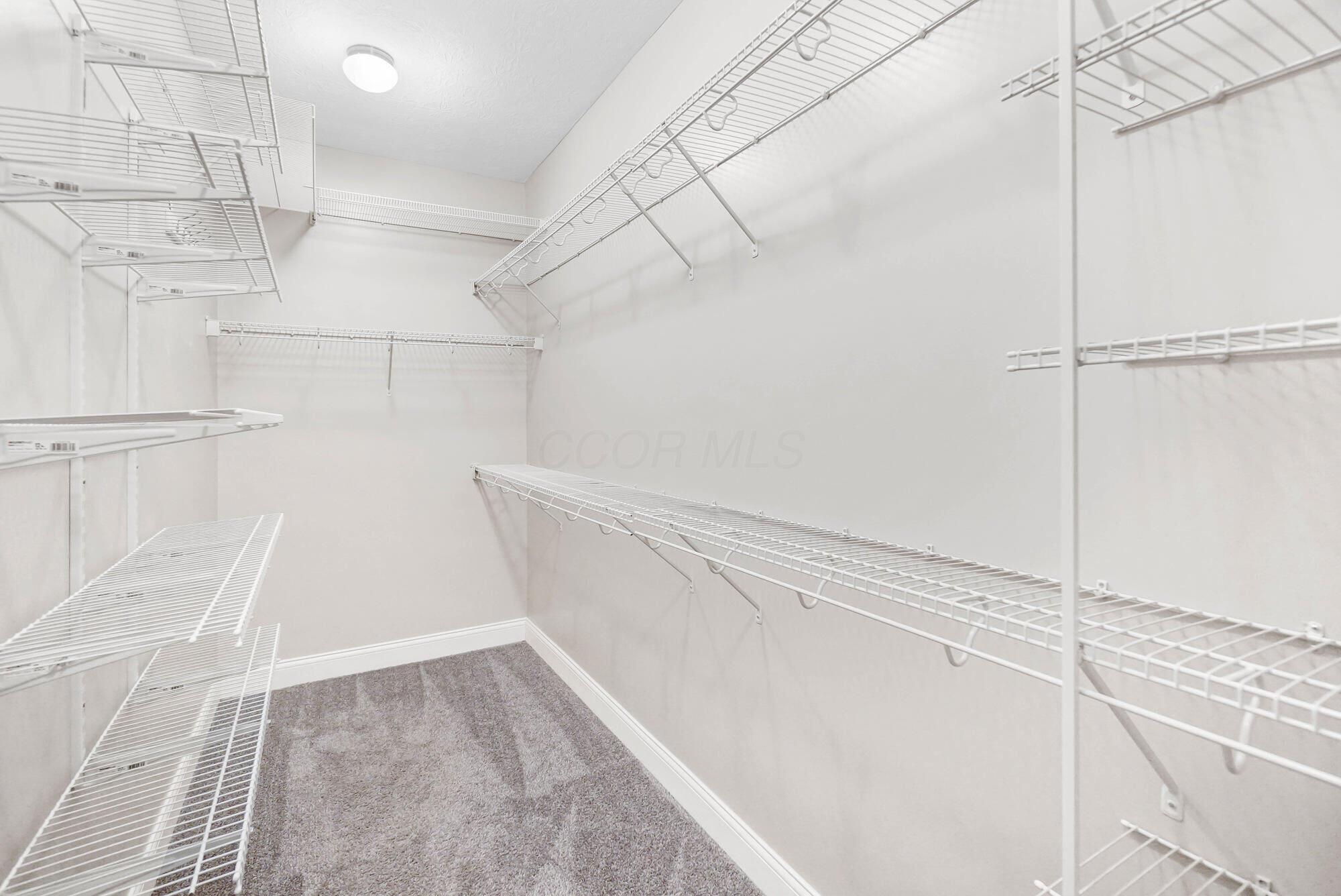 10346 Spicebrush Drive Property Photo 25