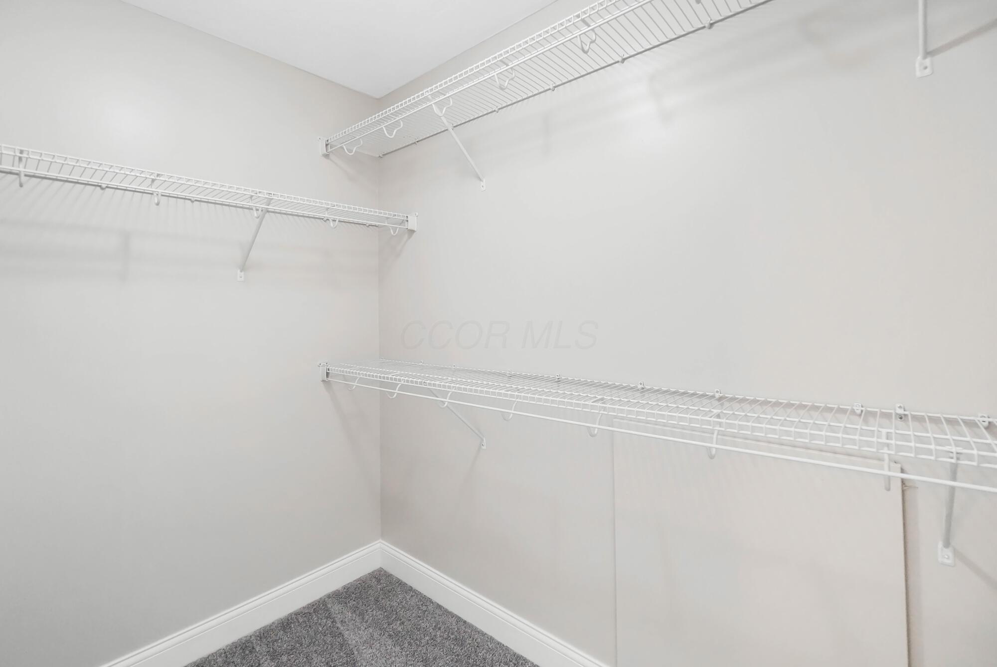 10346 Spicebrush Drive Property Photo 39