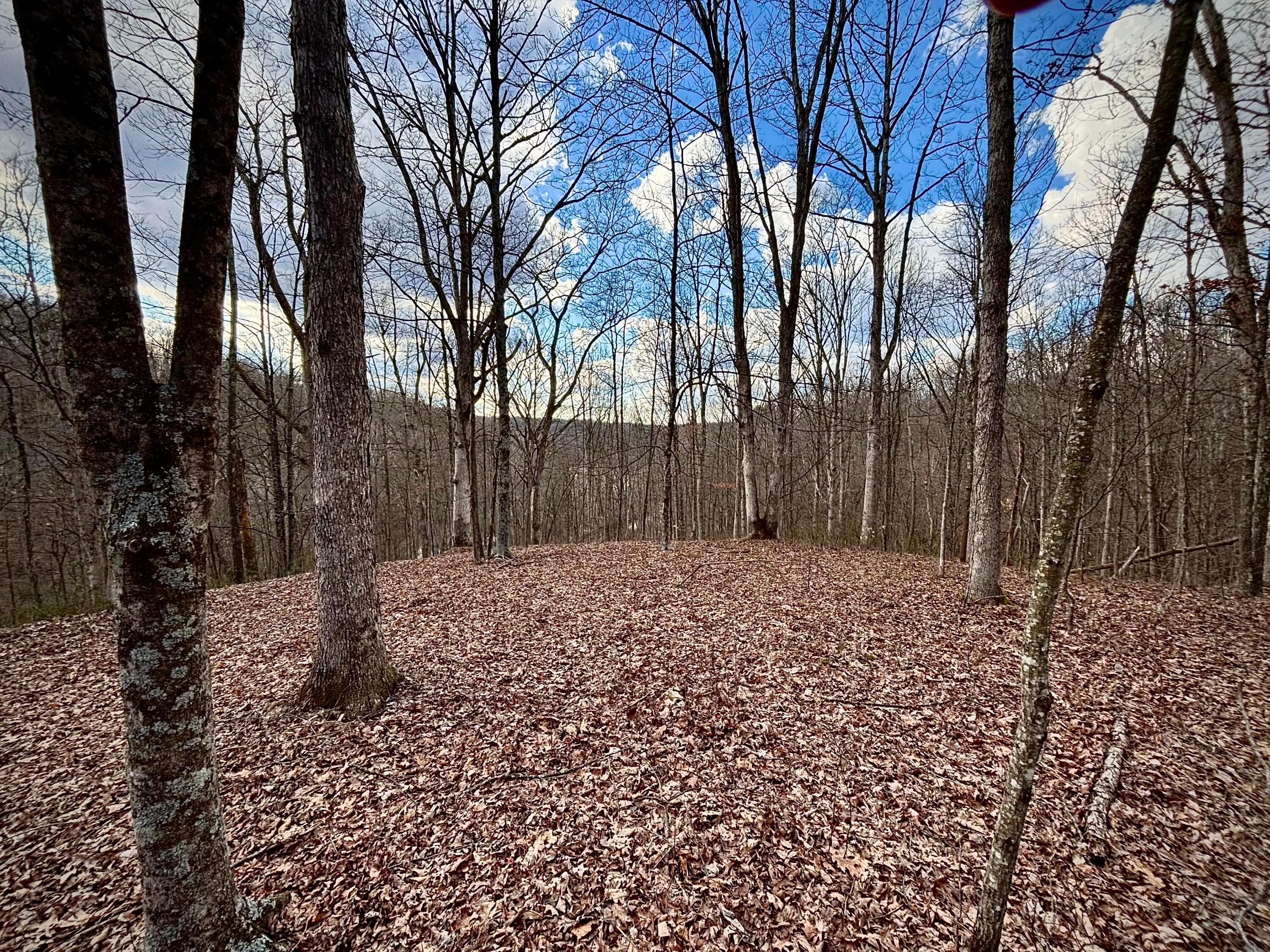 0 Loudermilk Road Property Photo