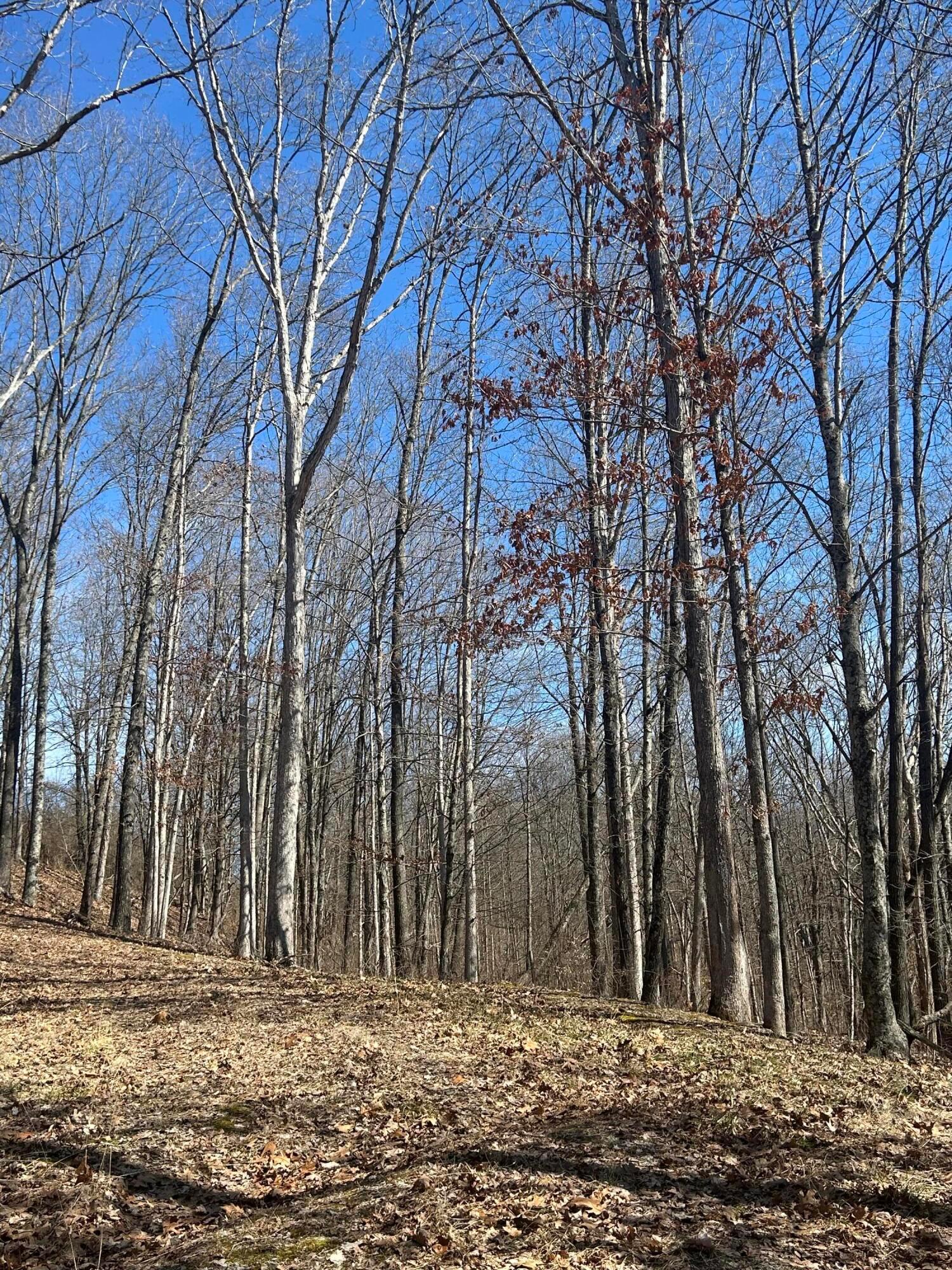 0 Loudermilk Road Property Photo 2