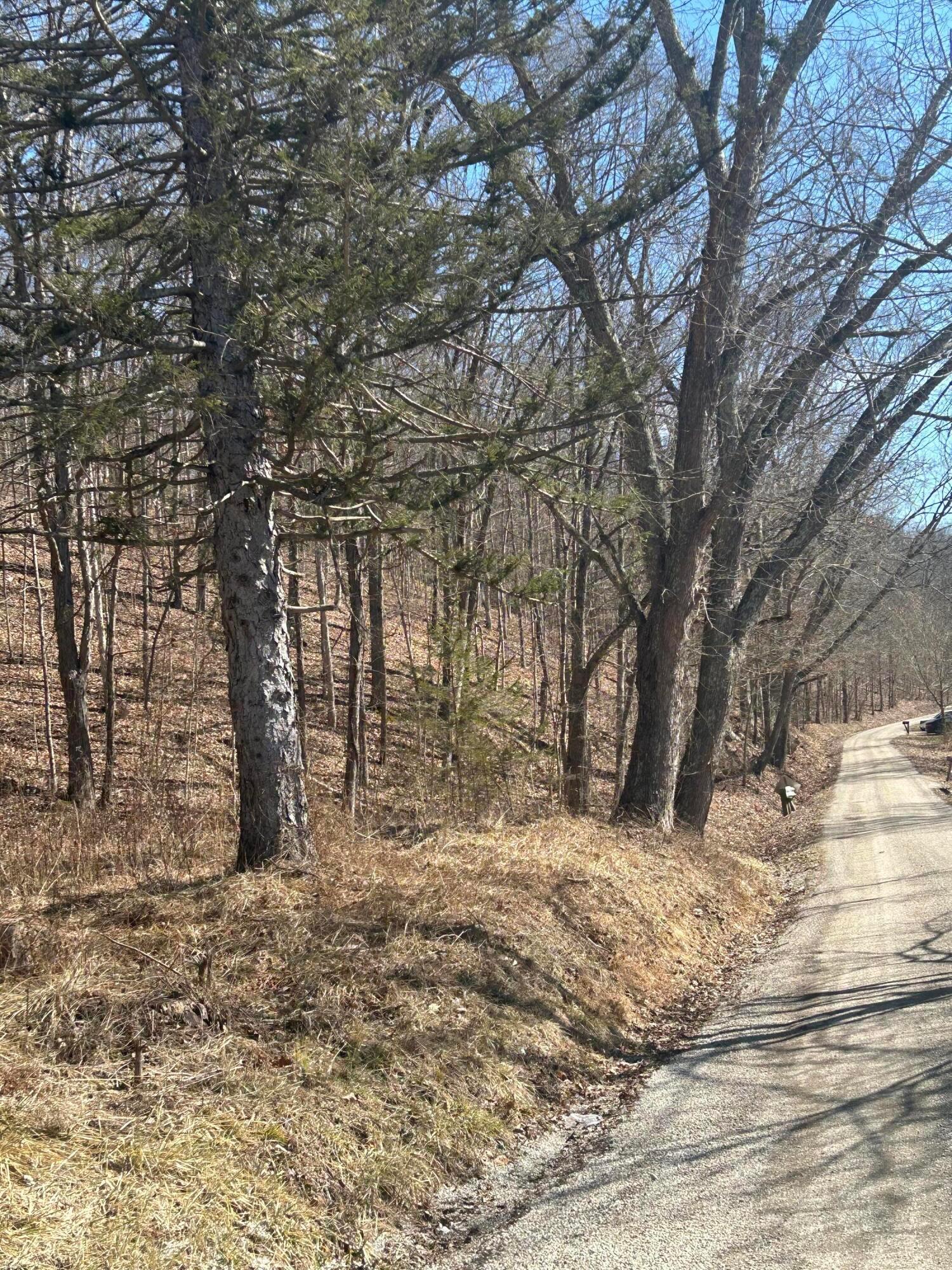 0 Loudermilk Road Property Photo 4