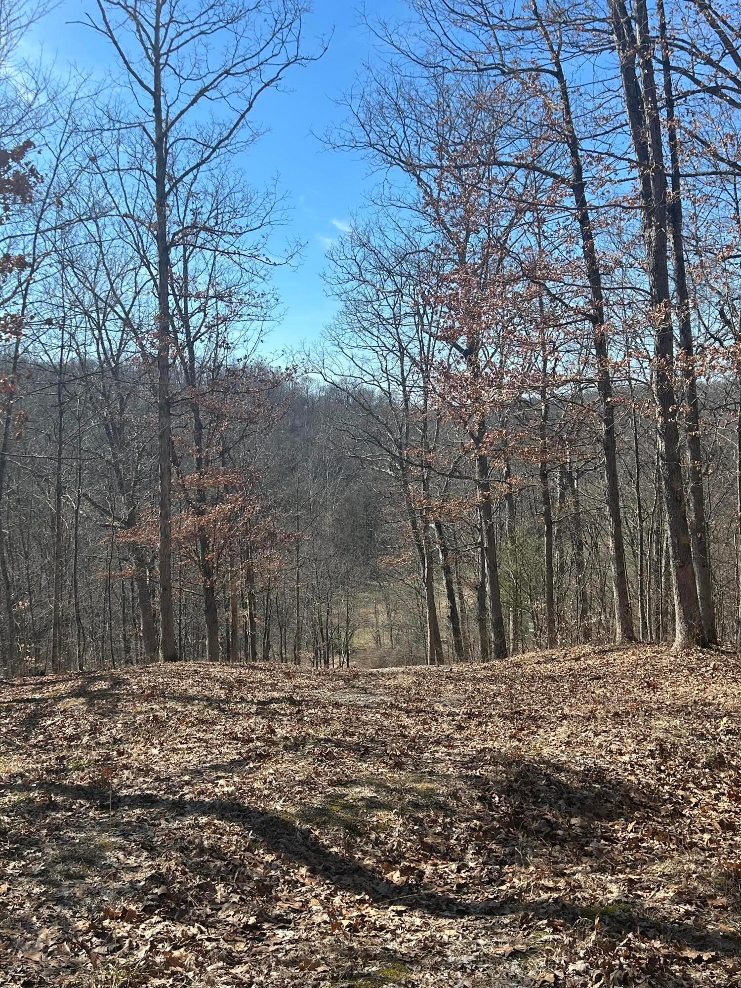 0 Loudermilk Road Property Photo 5