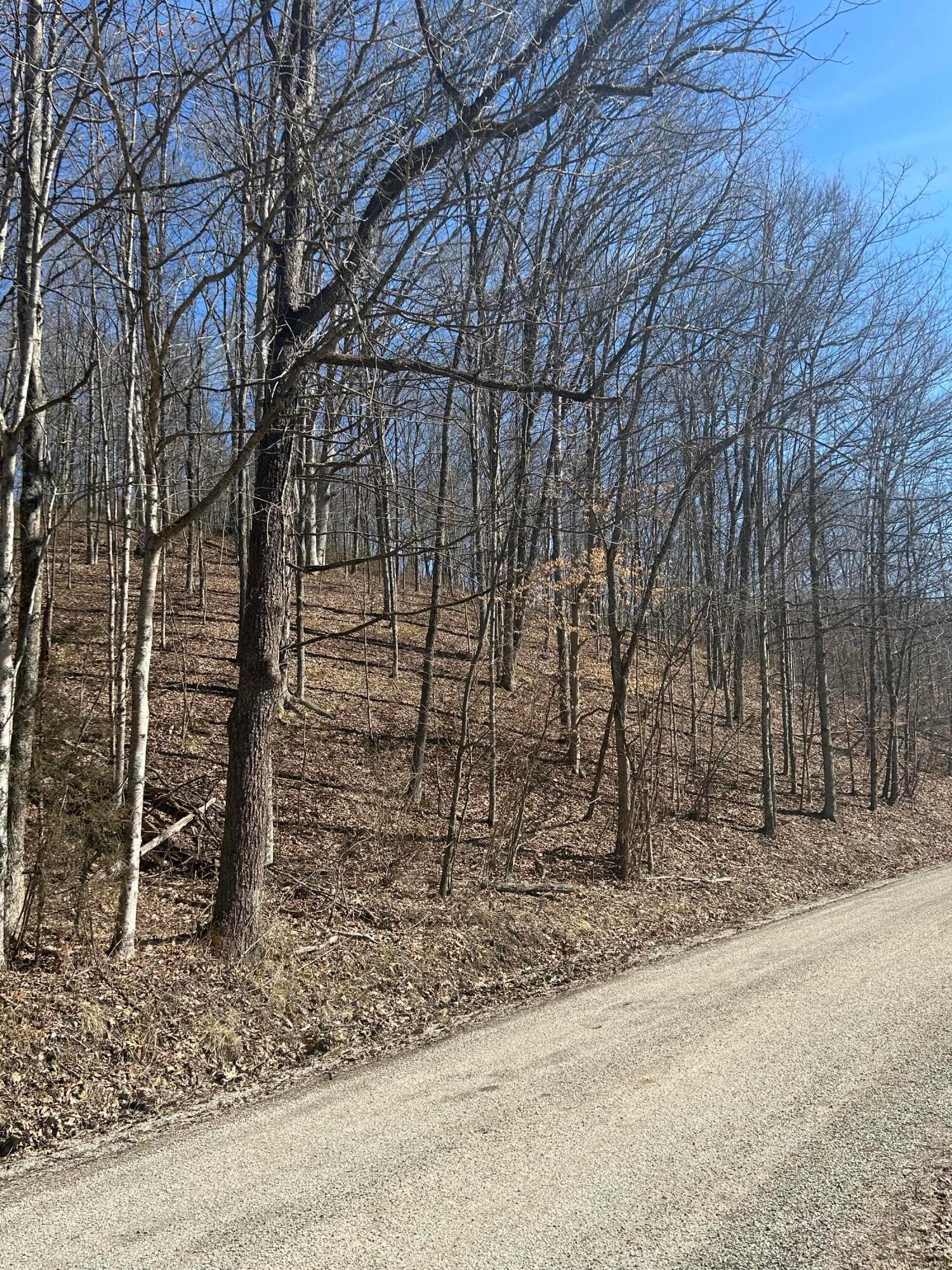 0 Loudermilk Road Property Photo 10
