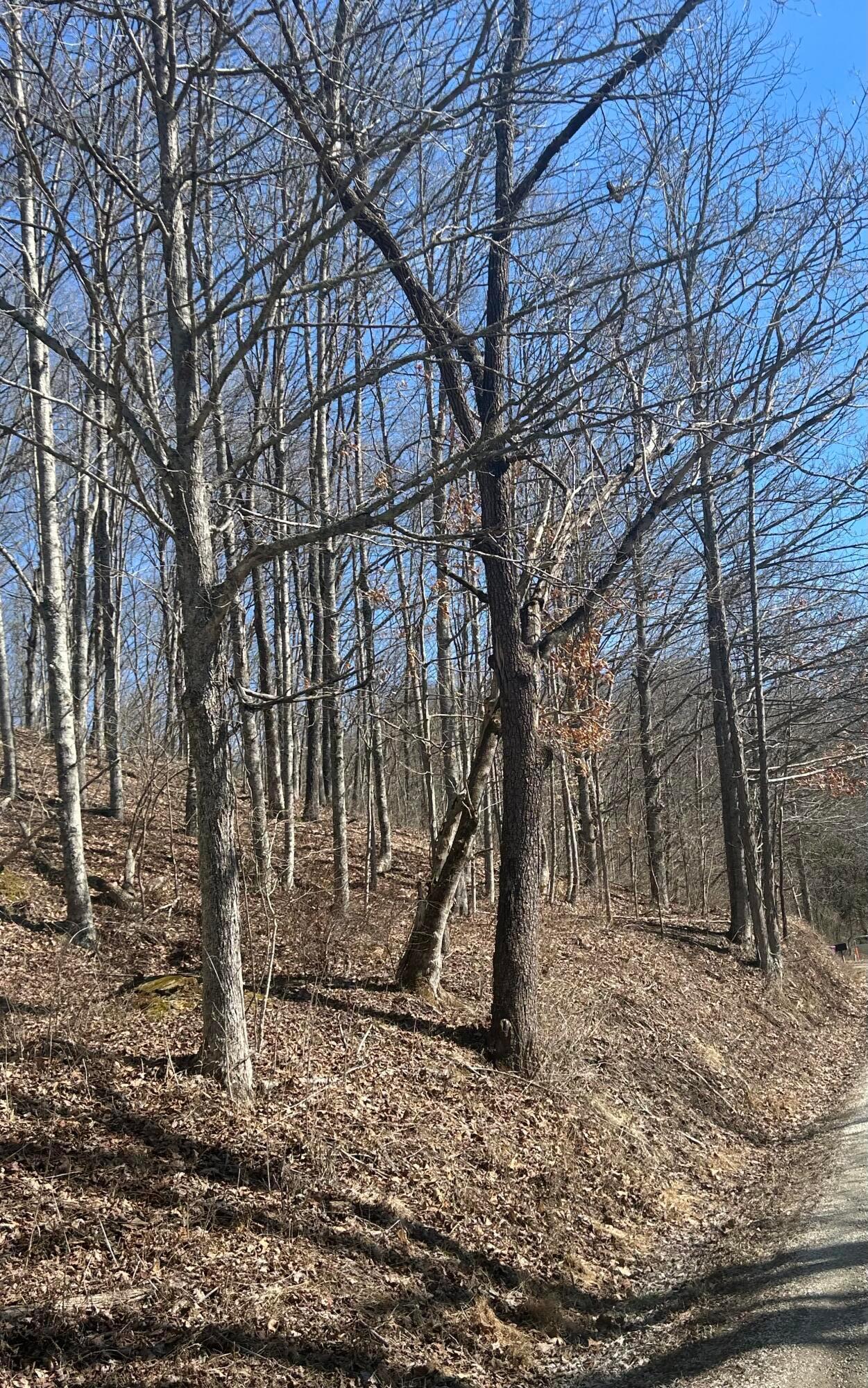 0 Loudermilk Road Property Photo 11