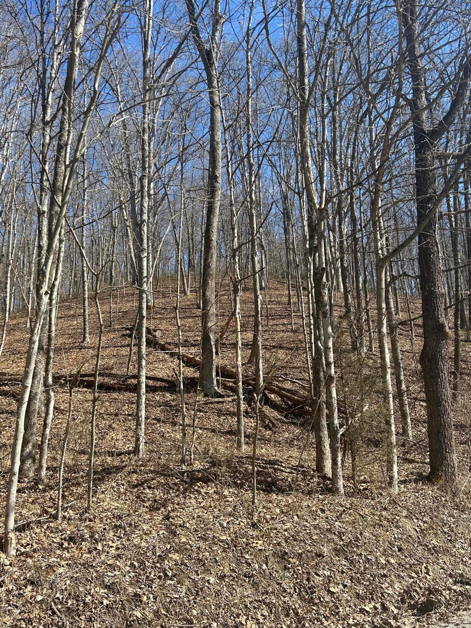 0 Loudermilk Road Property Photo 13