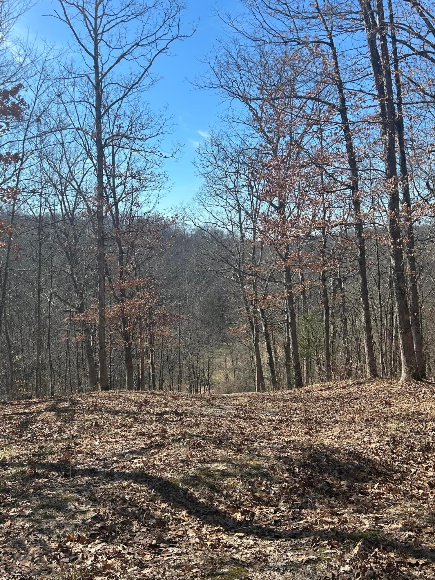 0 Loudermilk Road Property Photo 14