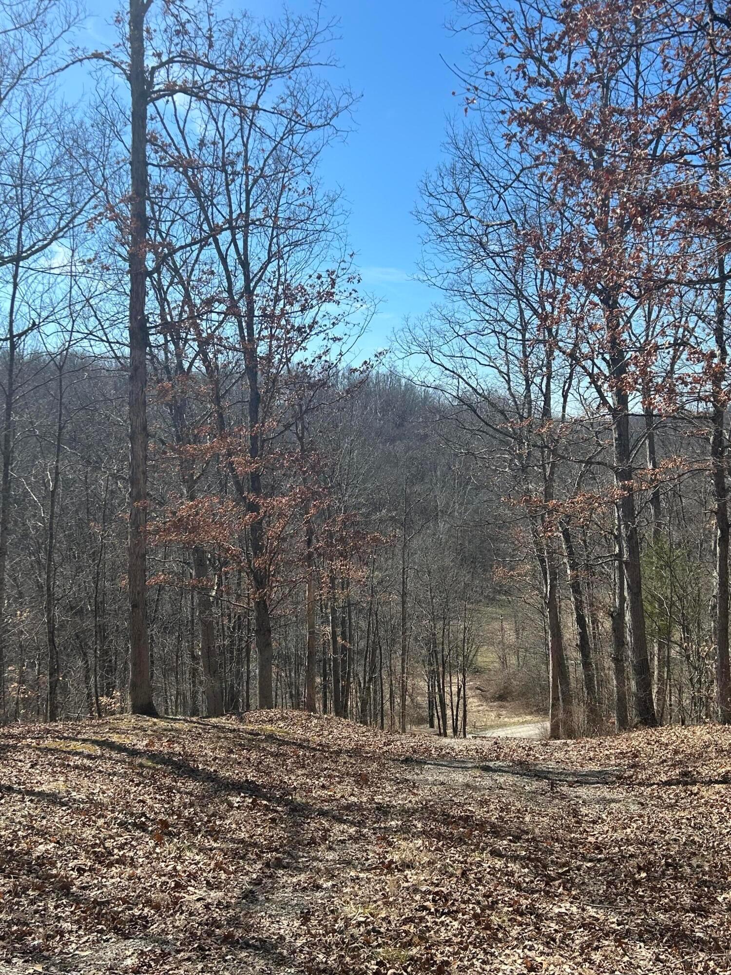 0 Loudermilk Road Property Photo 15