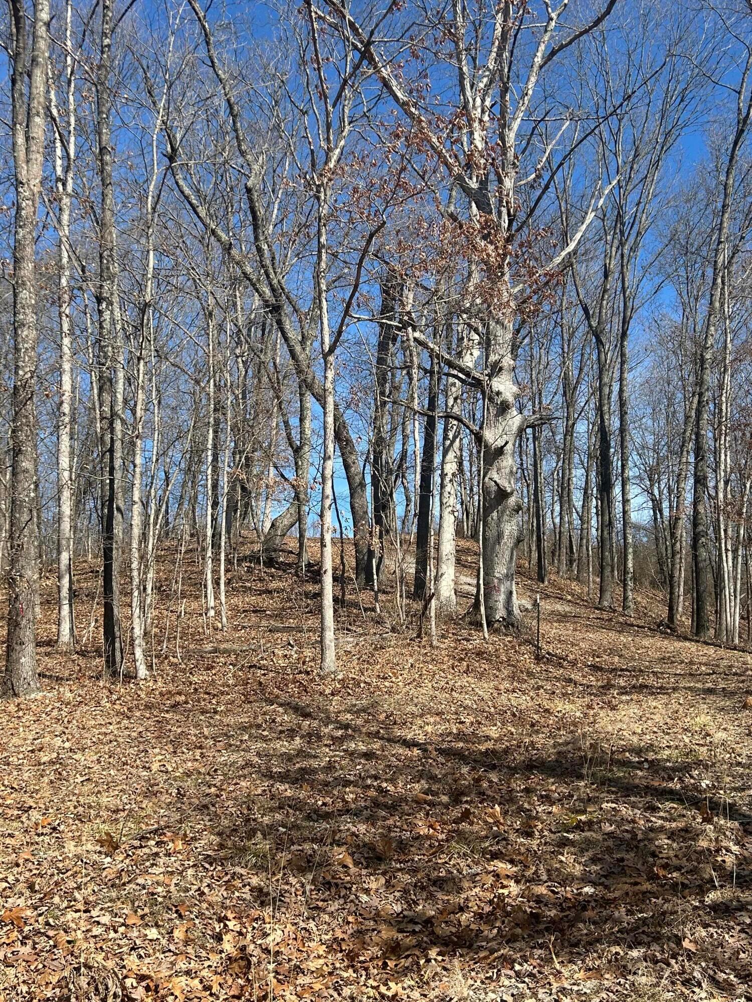 0 Loudermilk Road Property Photo 16