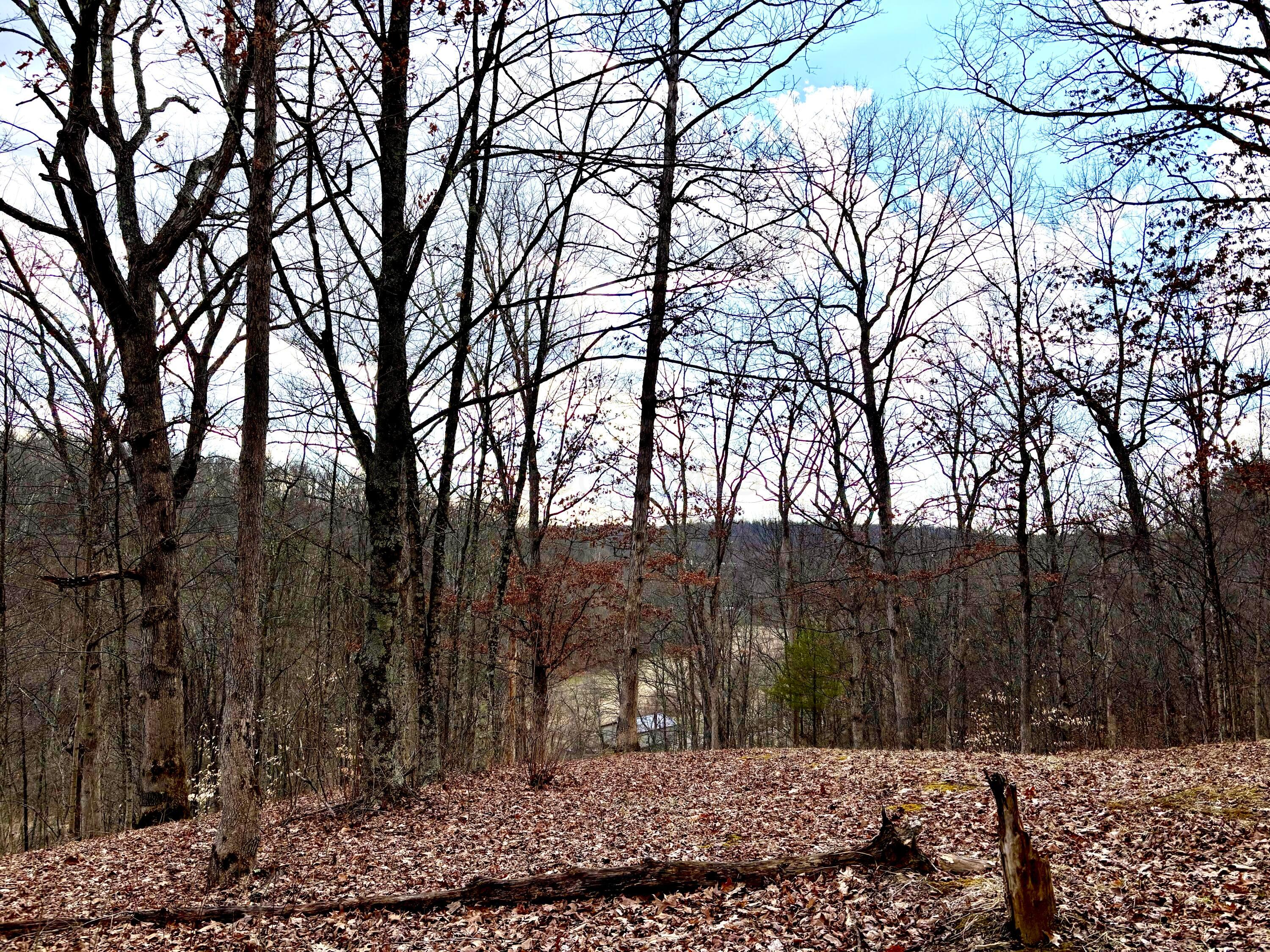 0 Loudermilk Road Property Photo 18