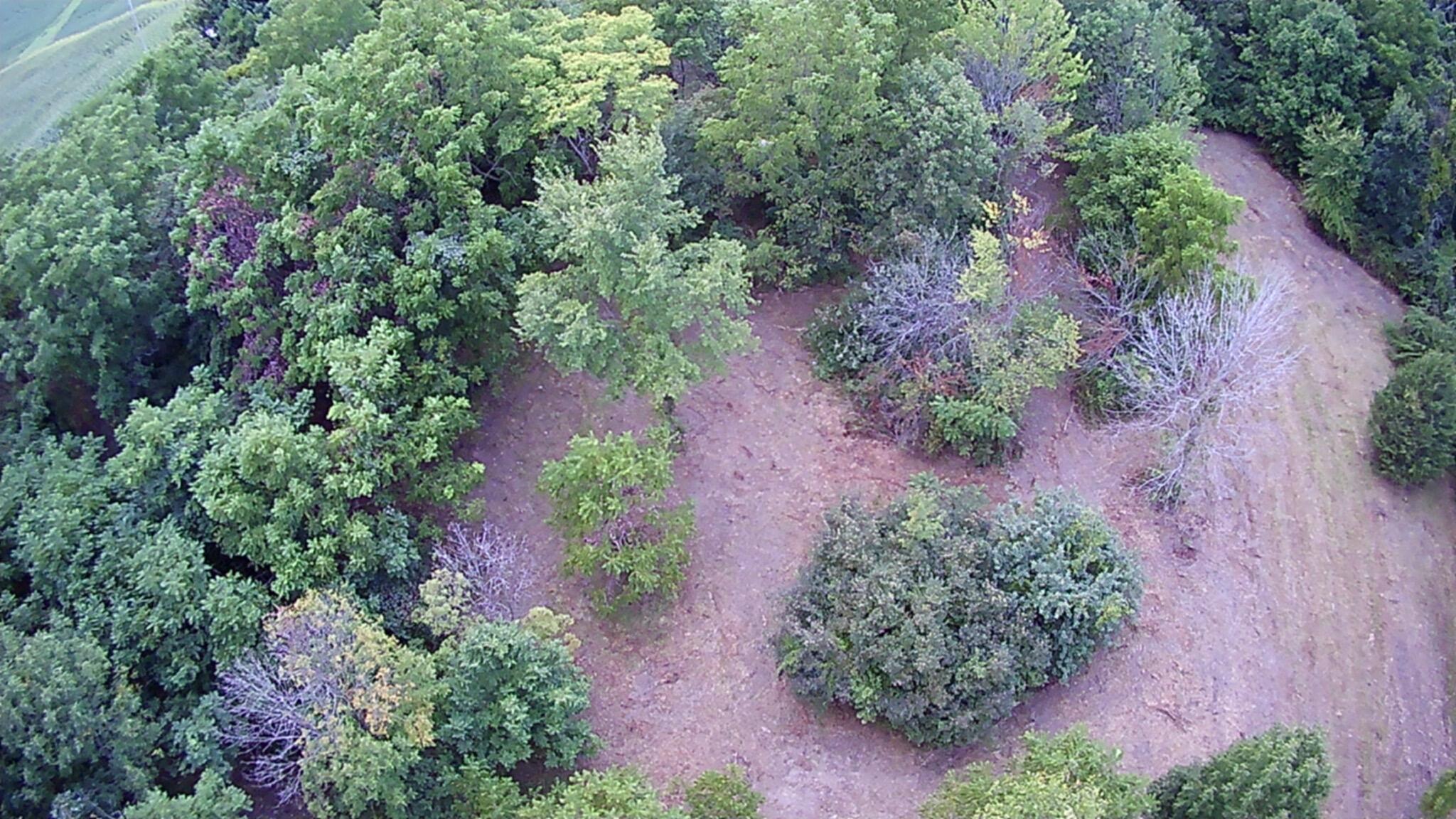 7105 Township Road 92 Property Photo 5