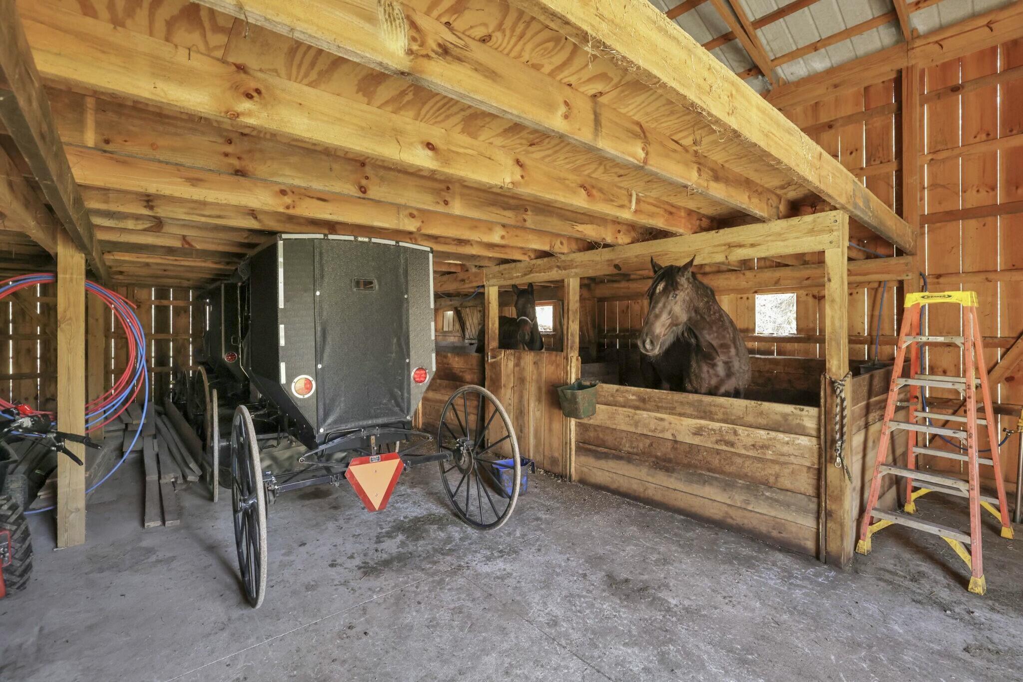 2896 Adelphia State Road Property Photo 62