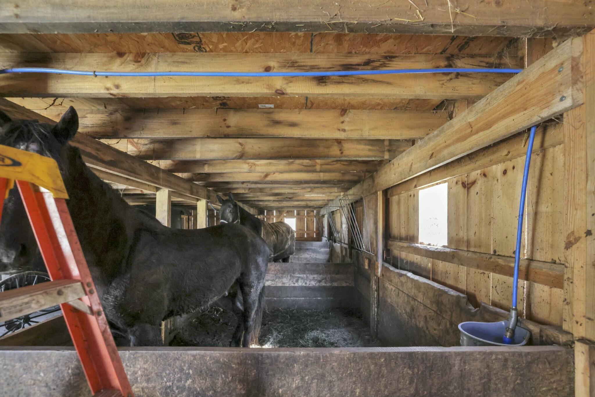 2896 Adelphia State Road Property Photo 63