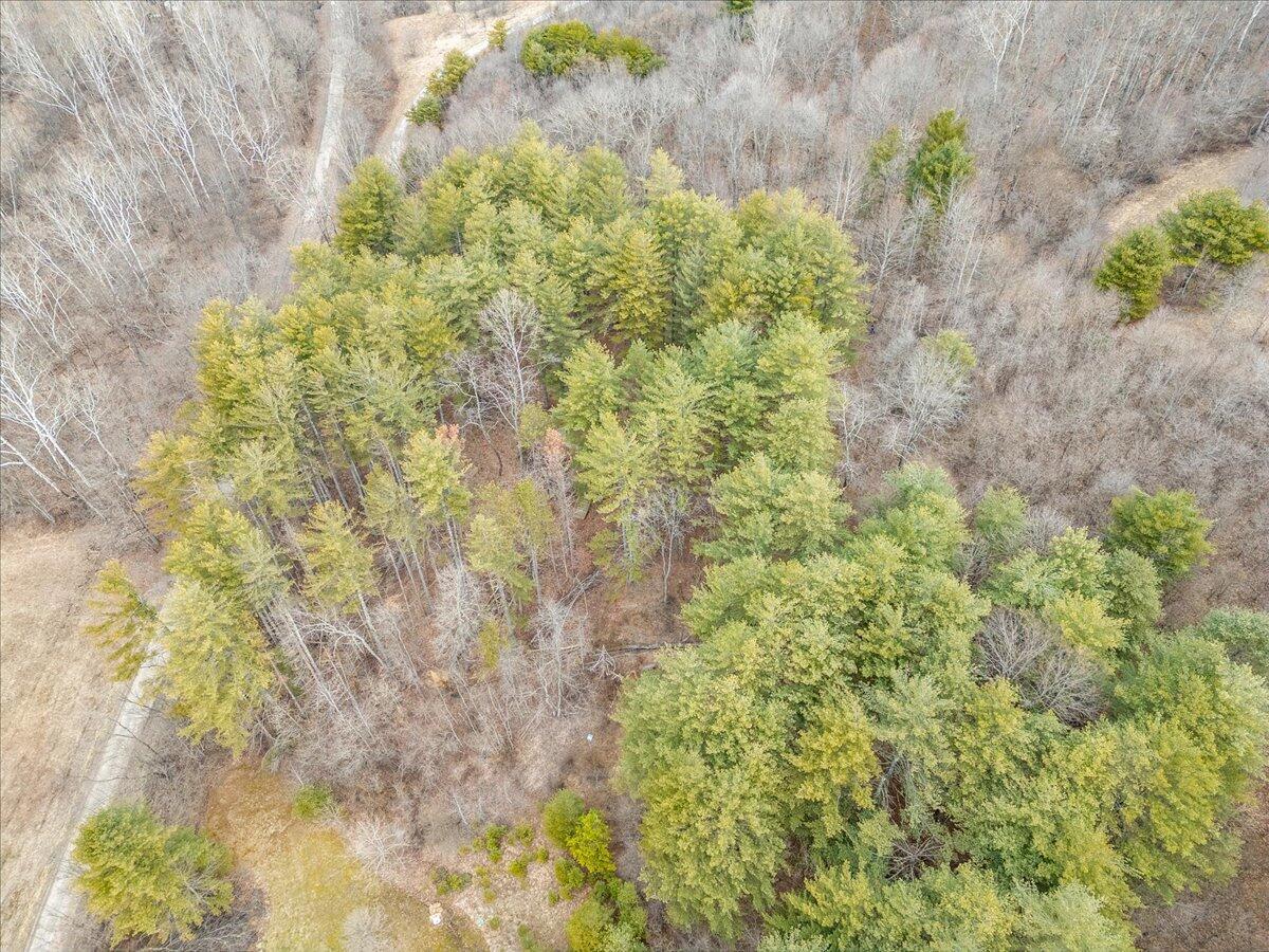 0 Boring Road Property Photo 5