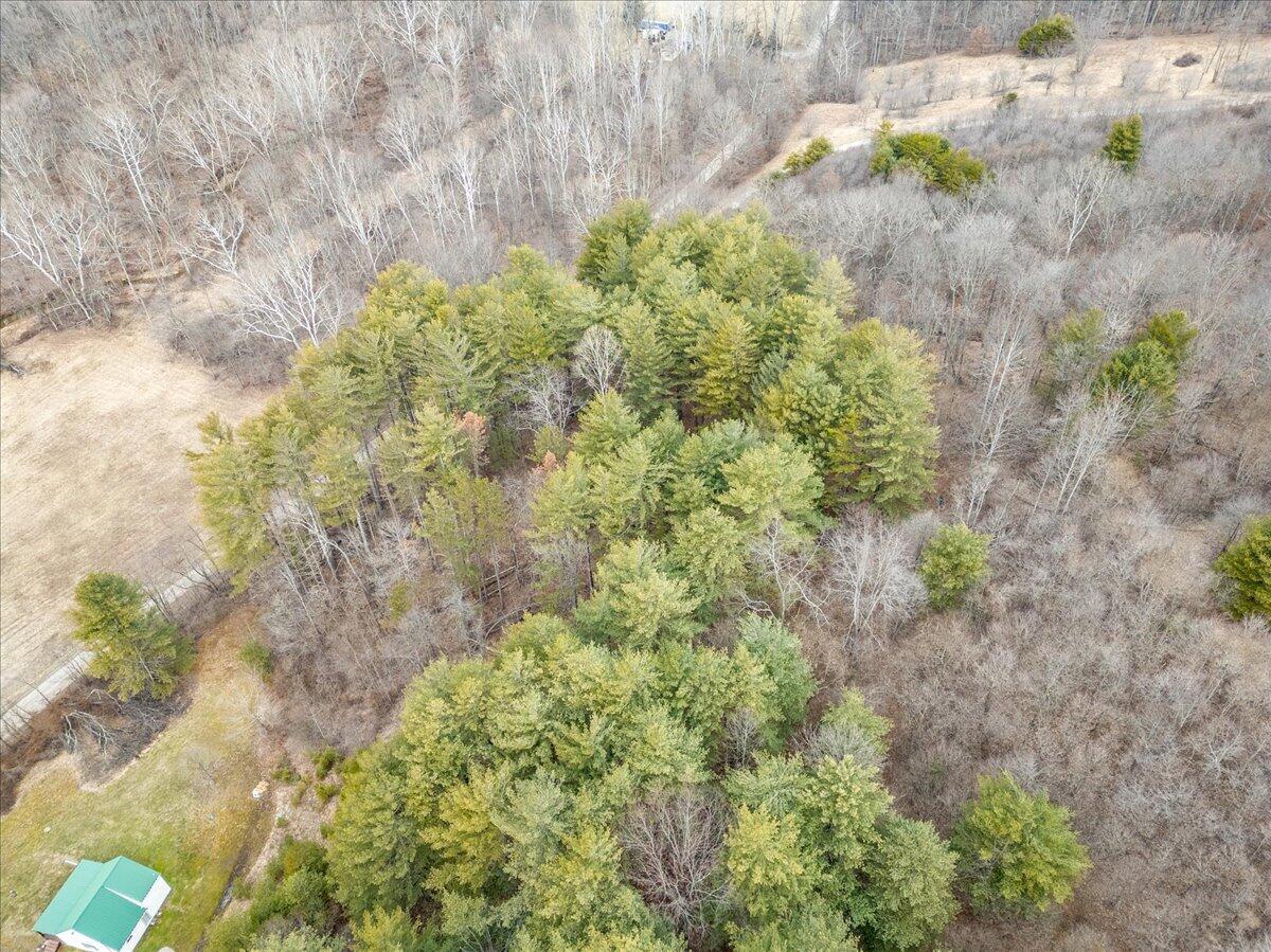 0 Boring Road Property Photo 6
