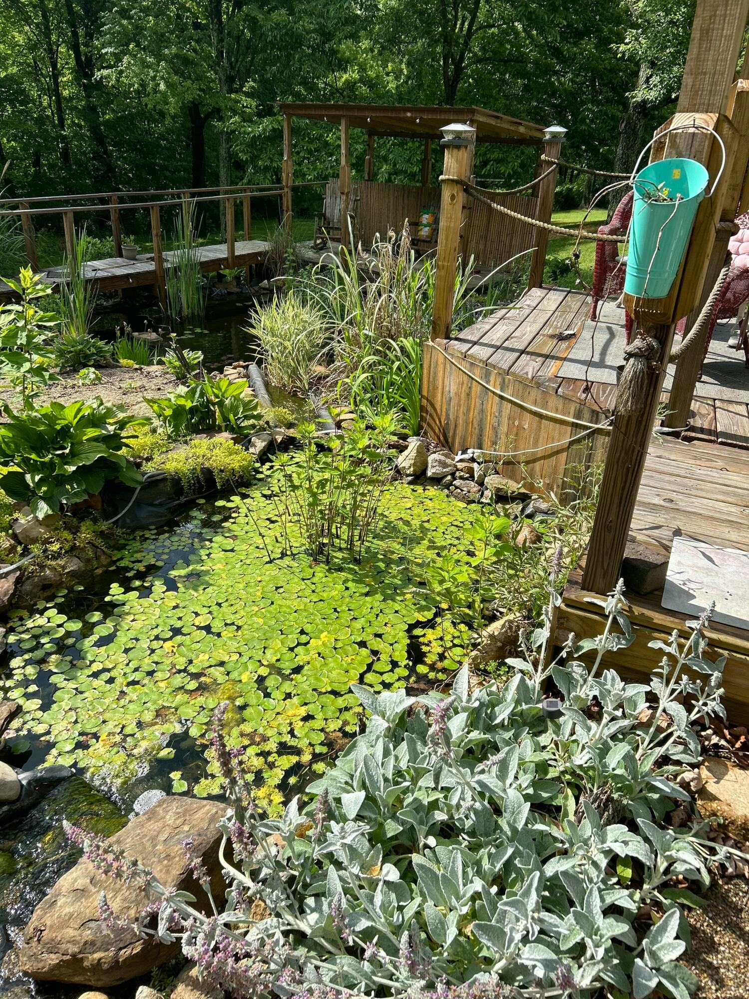 505 Summer Street Property Photo 31