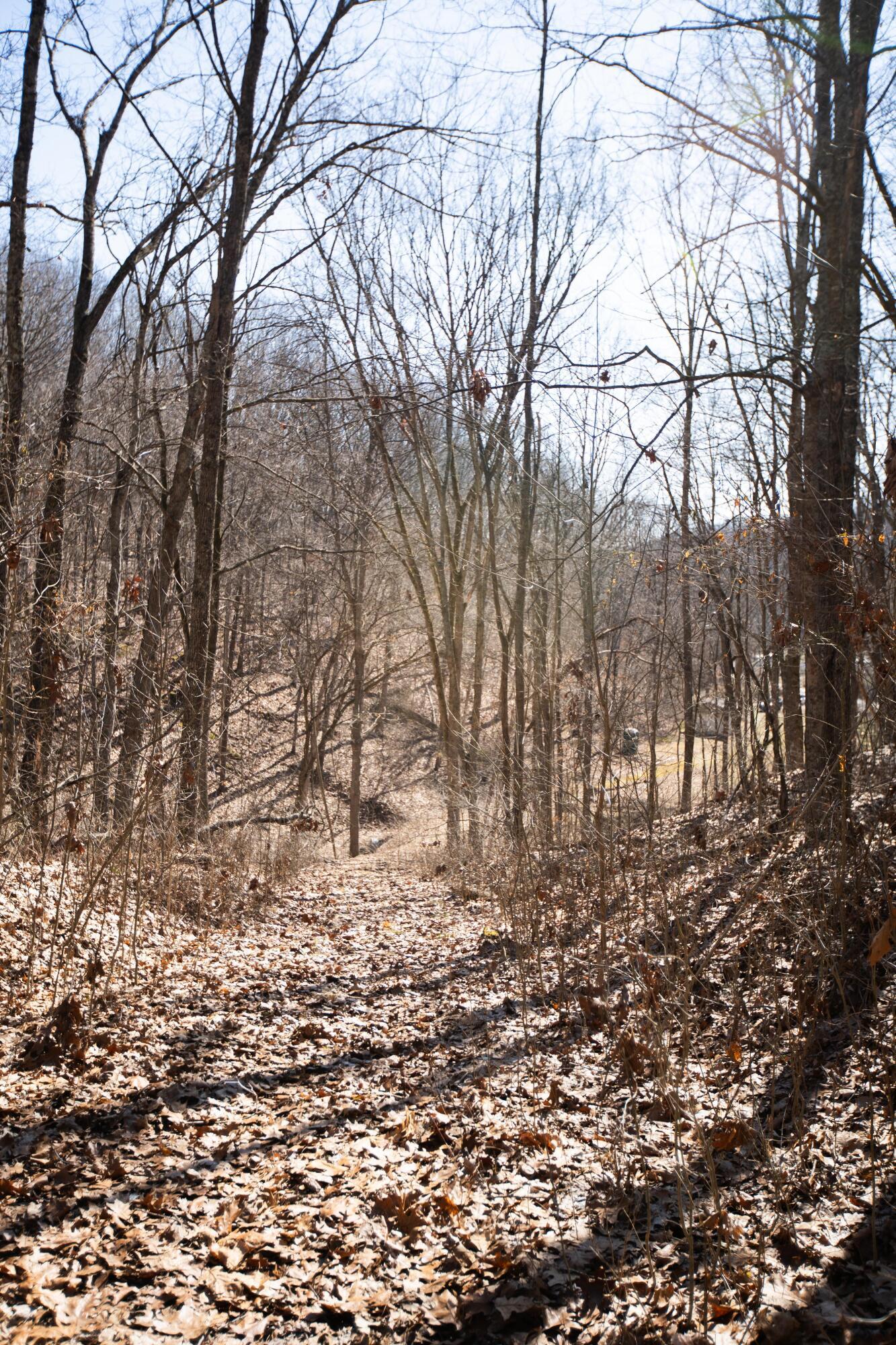 4624 Rhoric Road Property Photo 8