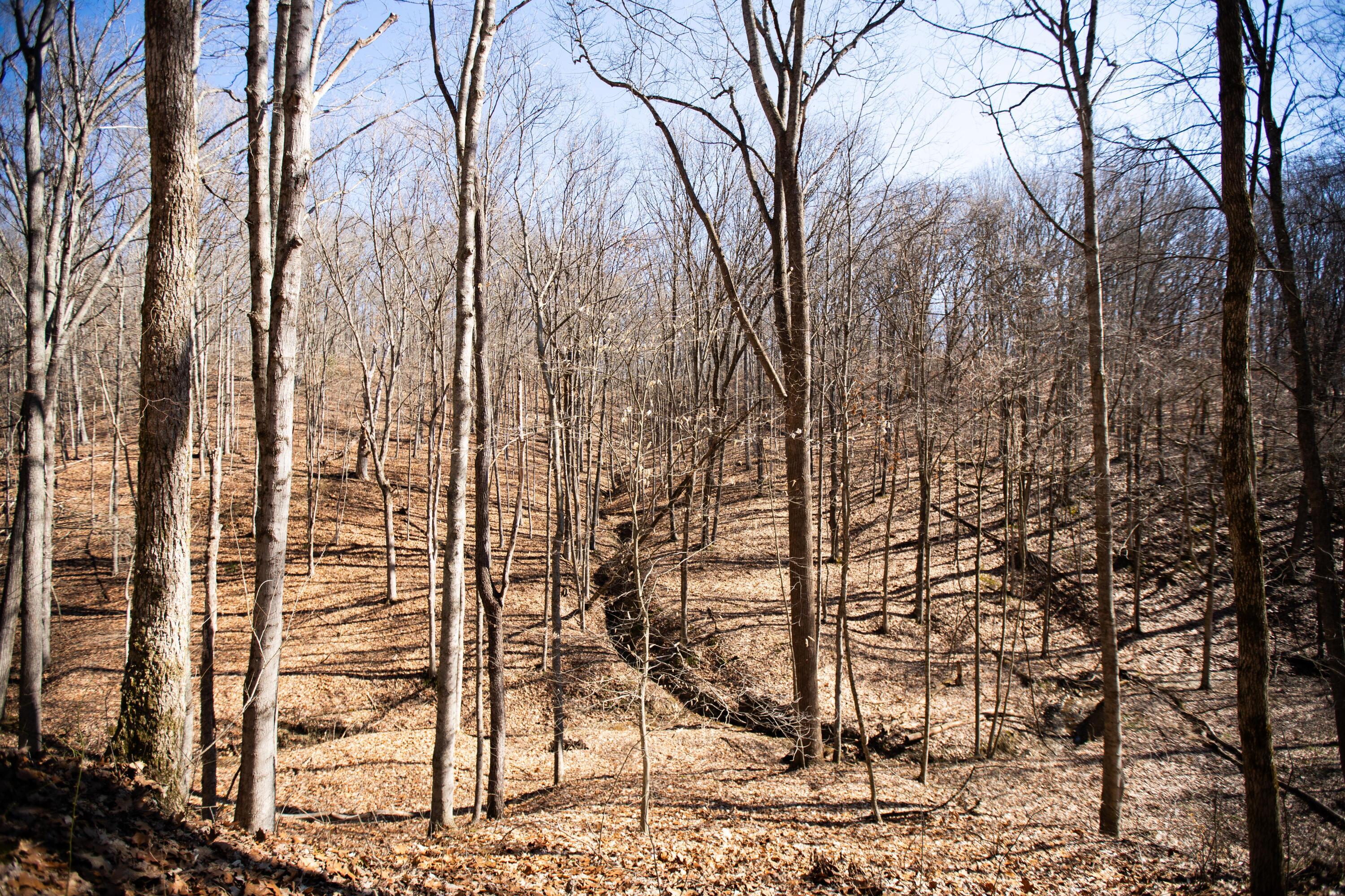 4624 Rhoric Road Property Photo 9