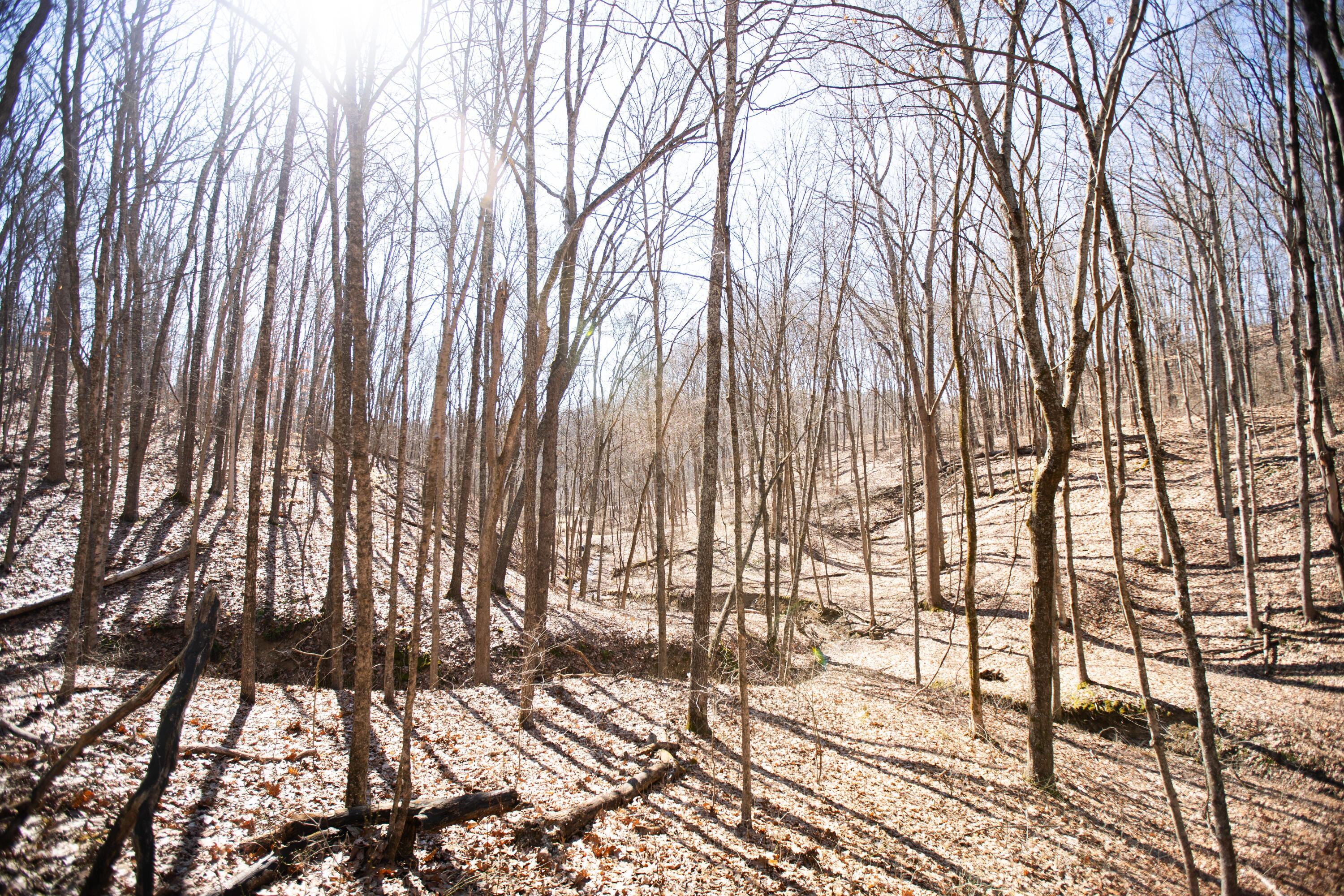 4624 Rhoric Road Property Photo 11