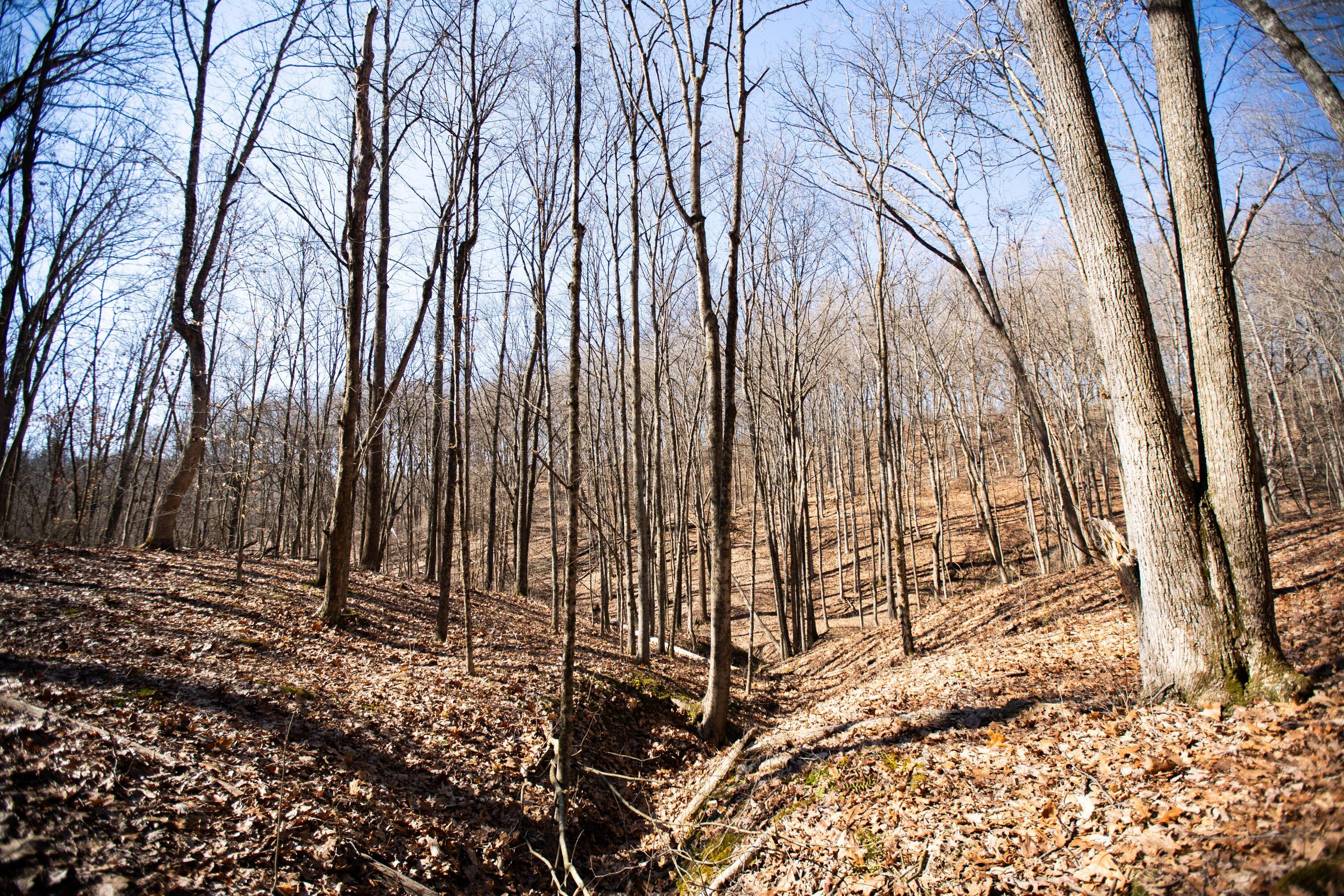 4624 Rhoric Road Property Photo 12
