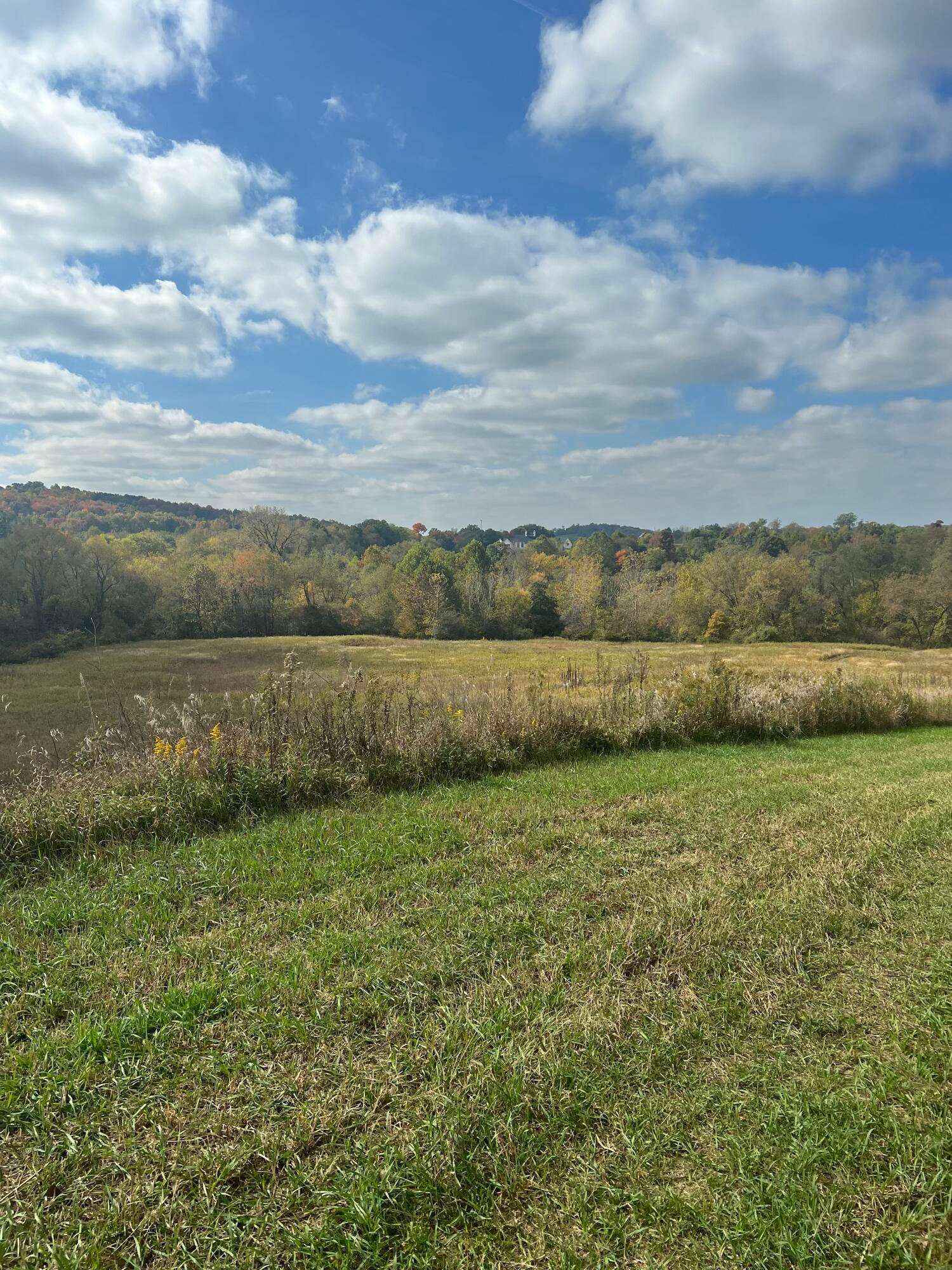 1698 Seven Hills Road Ne, Tract B Property Photo 6