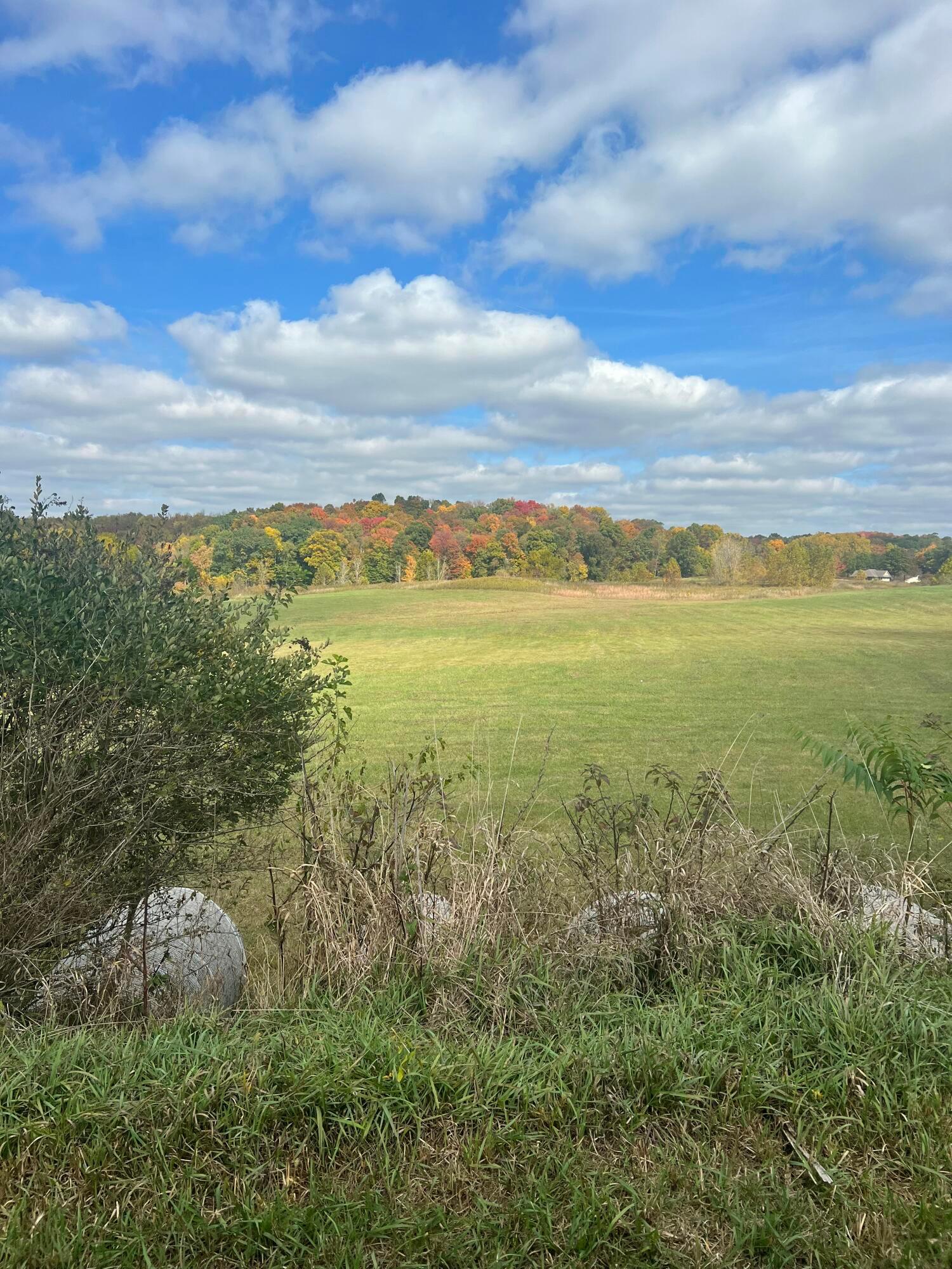 1698 Seven Hills Road Ne, Tract B Property Photo 7