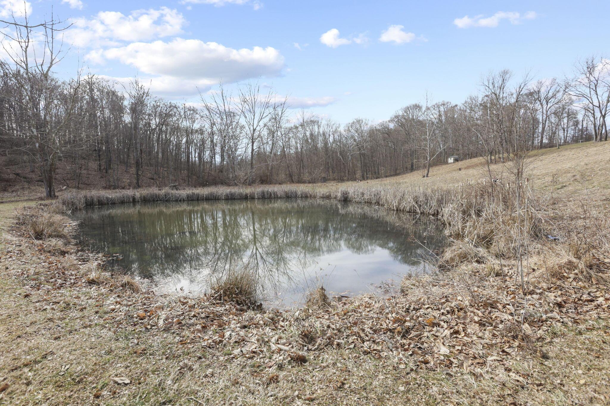 10695 State Route 93 N Property Photo 51