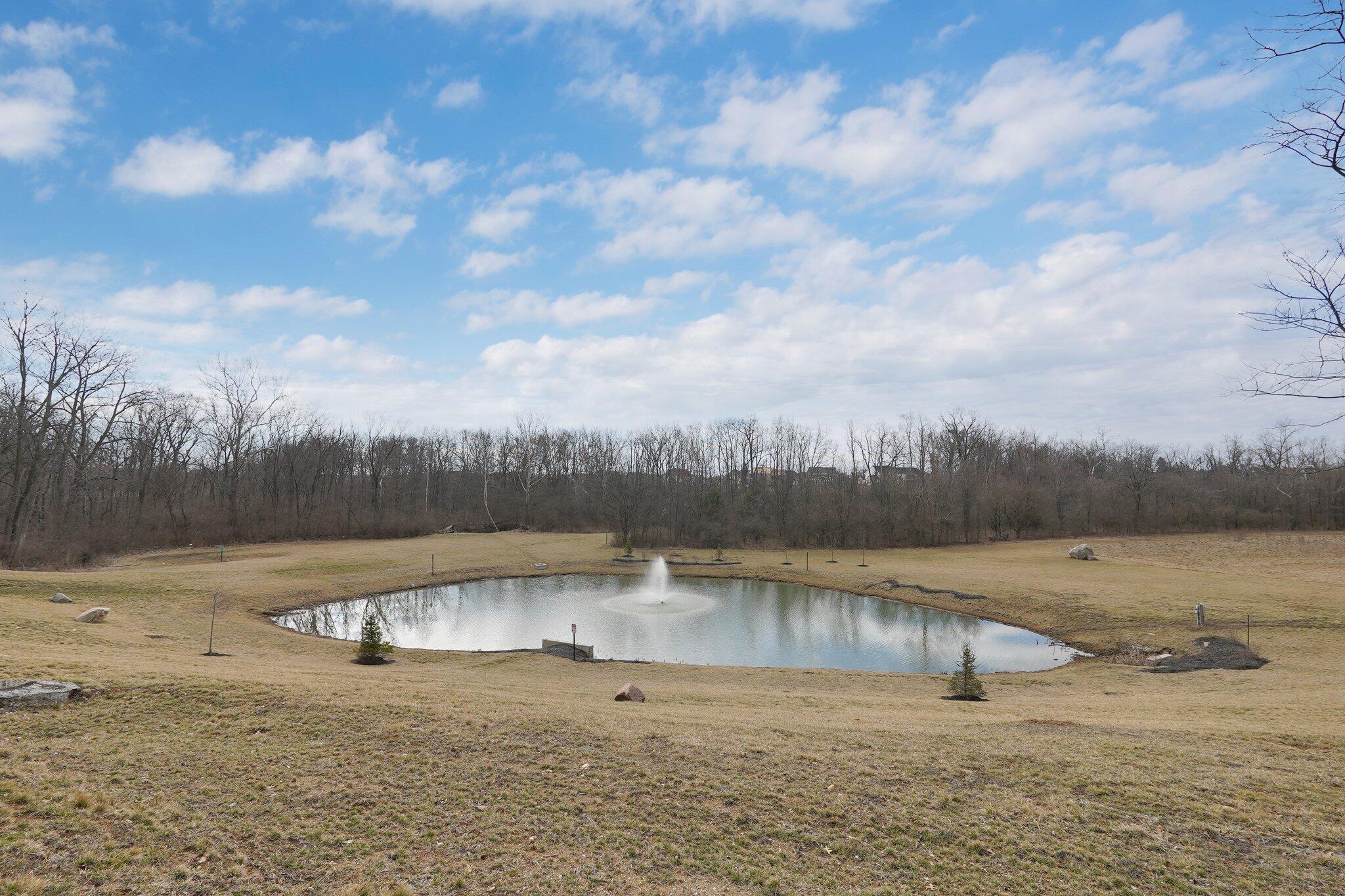 1390 Hemetite Drive Property Photo 35