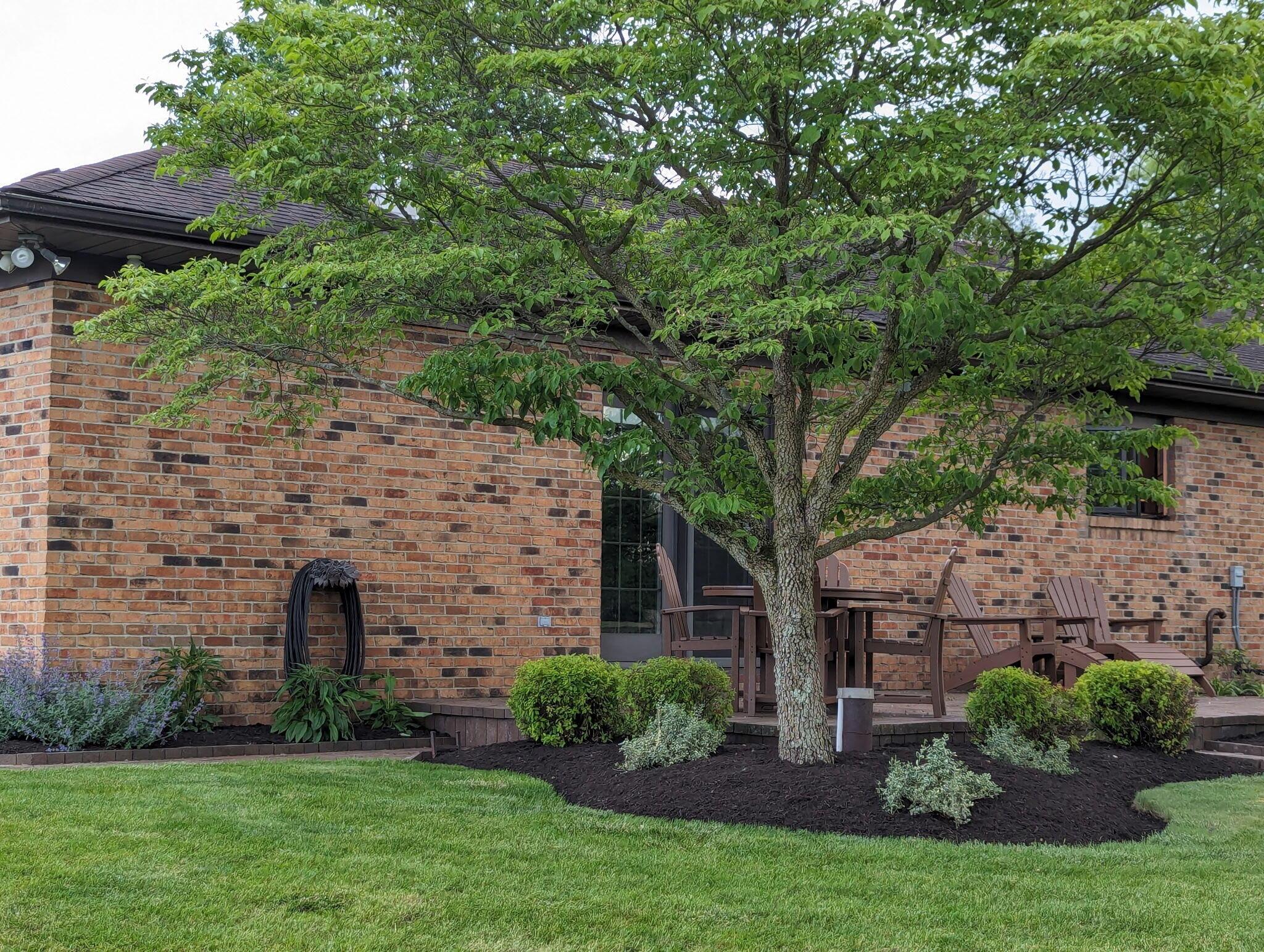 10810 Mcintosh Road Property Photo 78