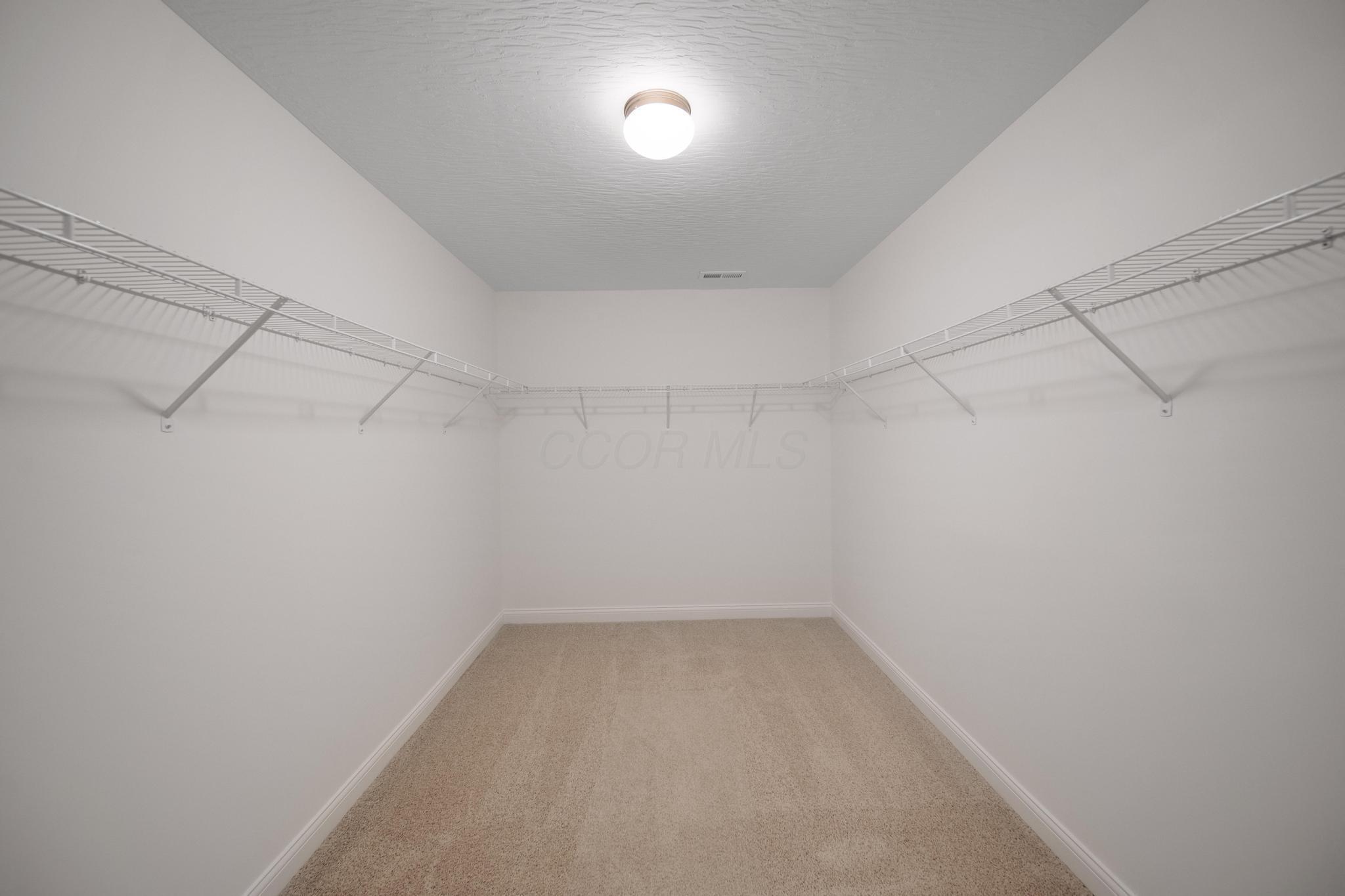 317 Genoa Road Property Photo 12