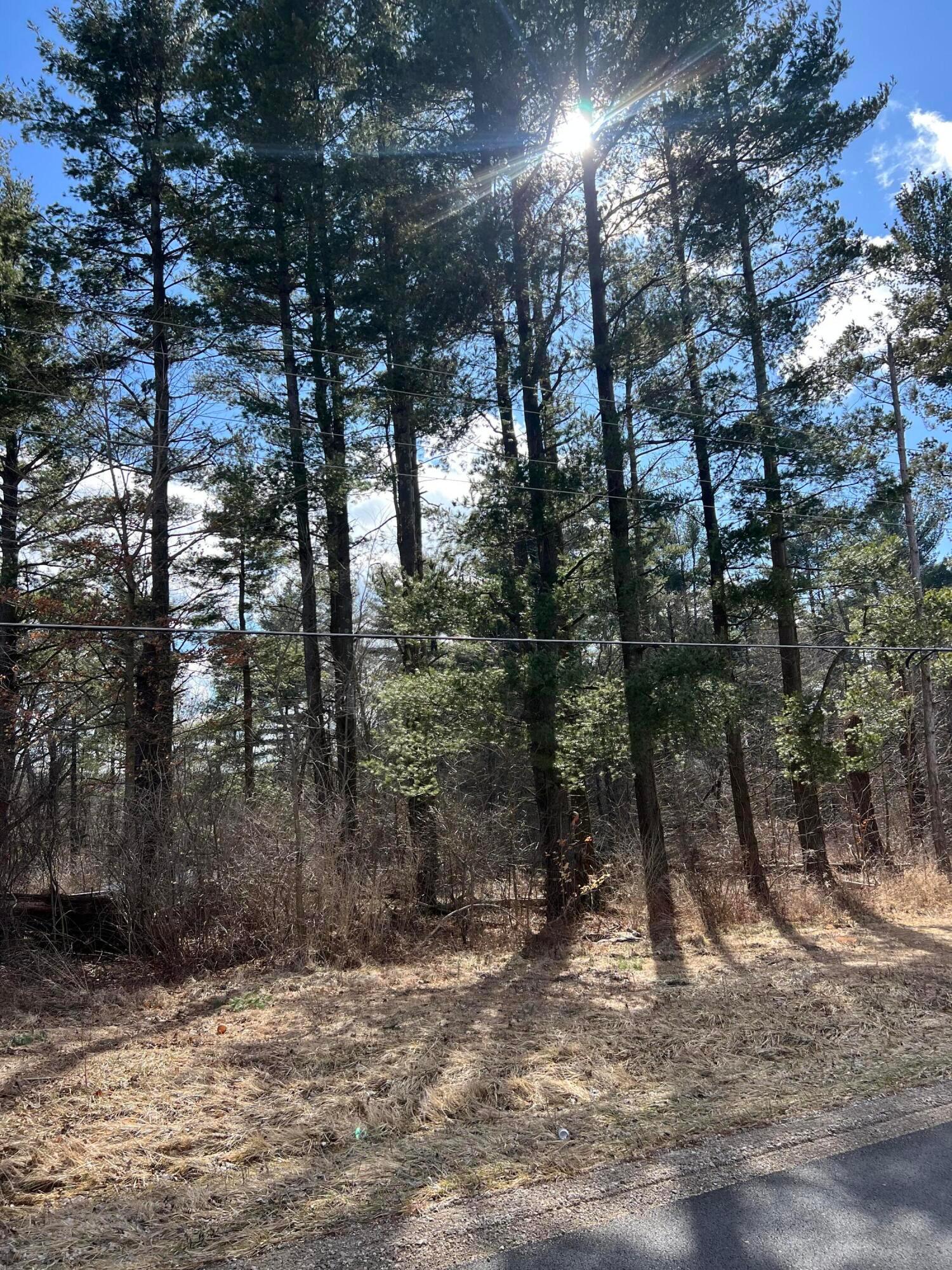 6288 County Road 25, LOT 1 Property Photo 1
