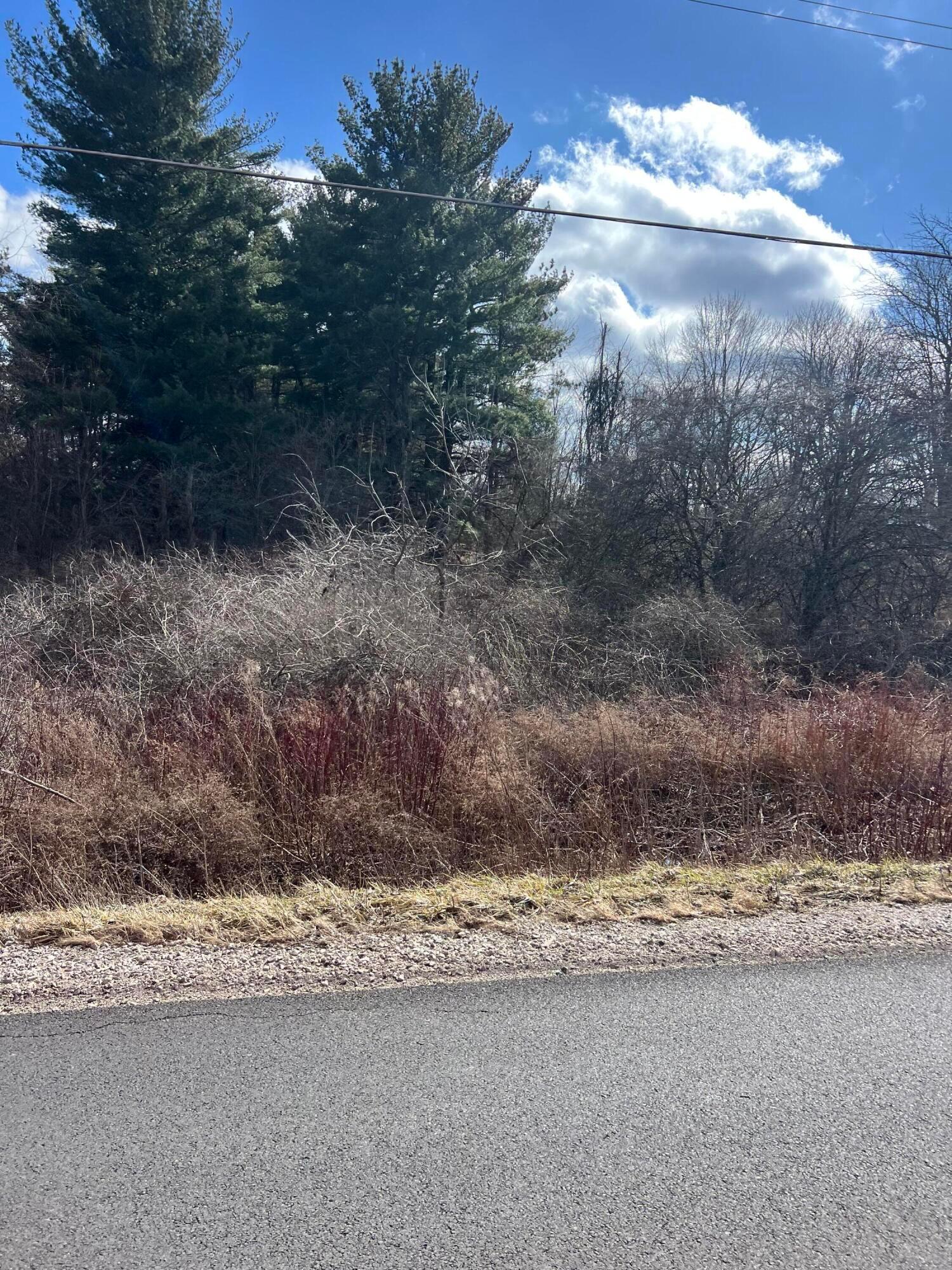 6288 County Road 25, Lot 2 Property Photo 3