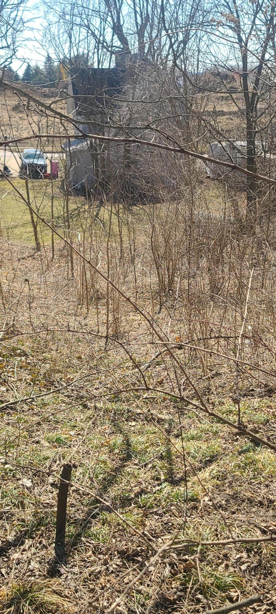 0 W Pleasant Street Property Photo 2