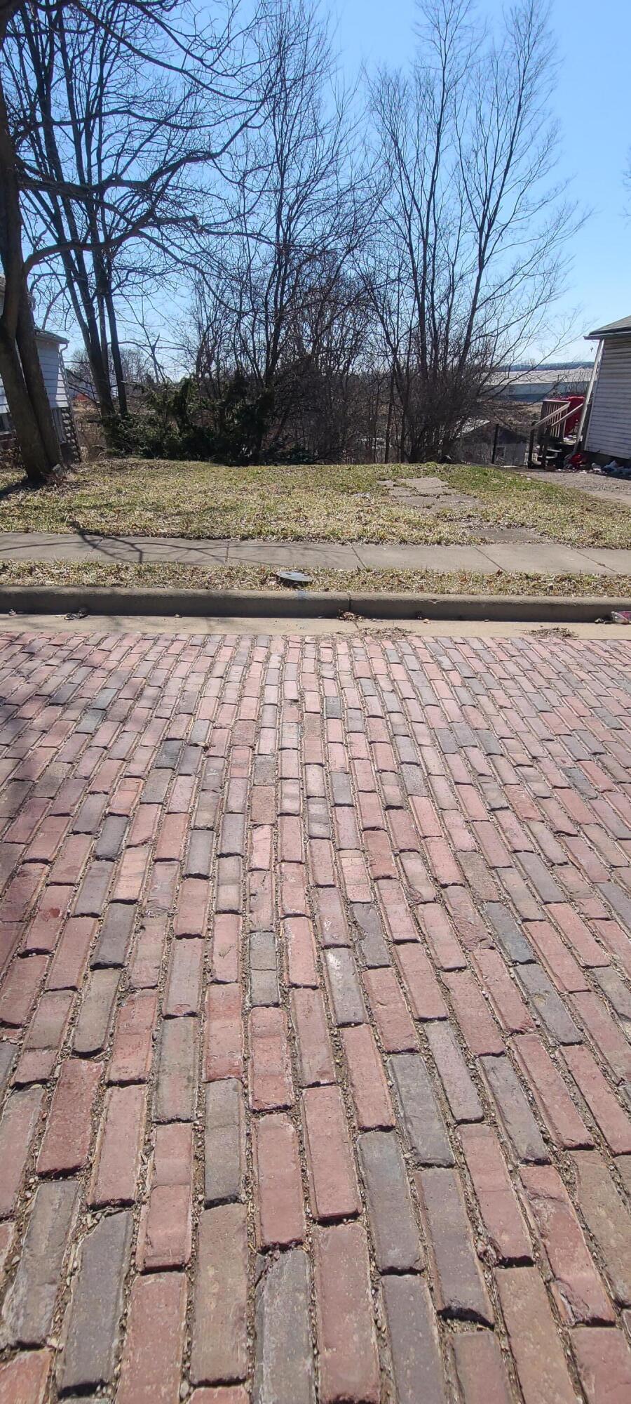 0 W Pleasant Street Property Photo 3