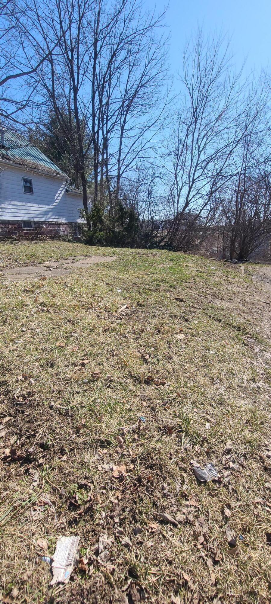 0 W Pleasant Street Property Photo 5