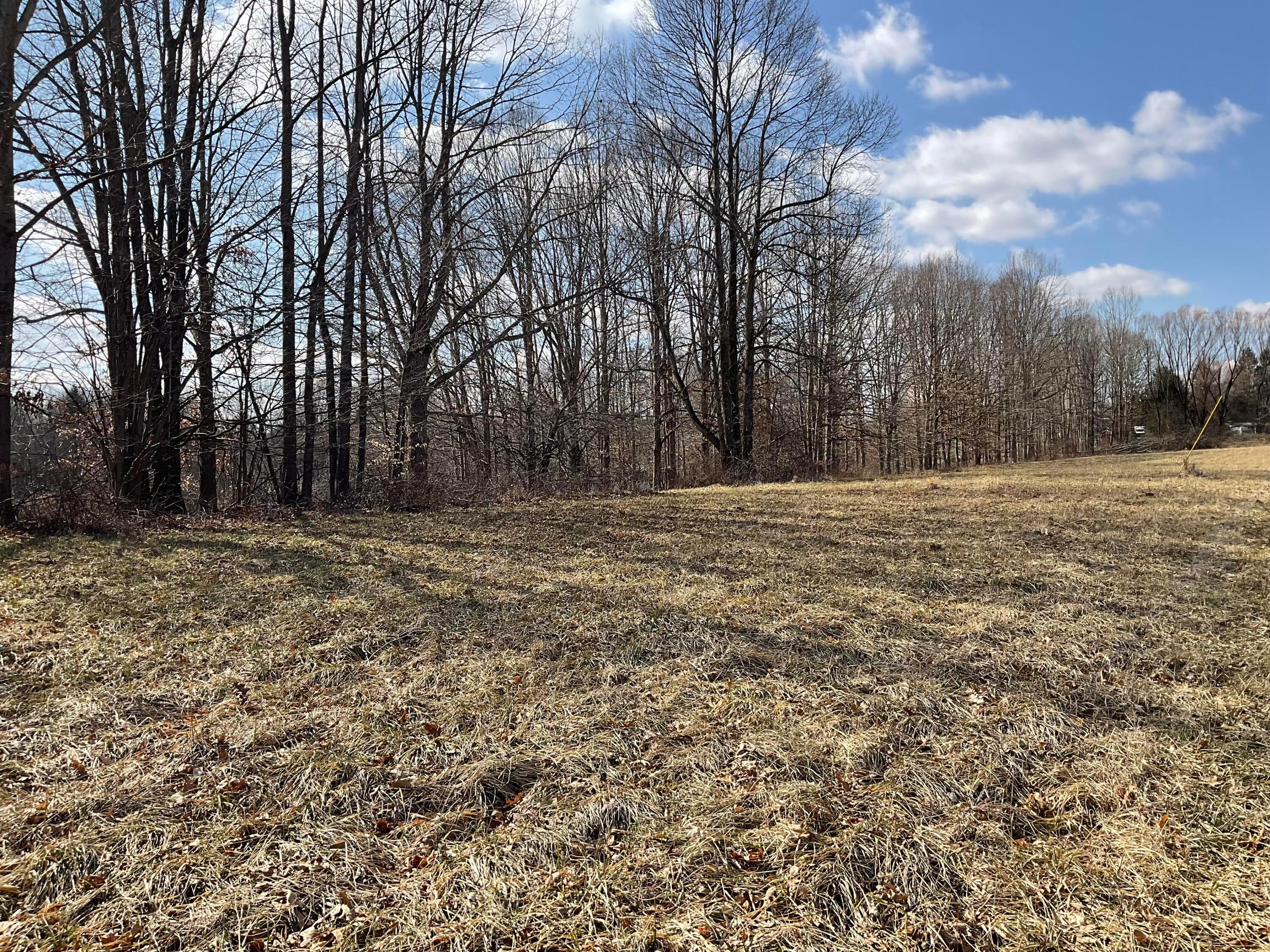 0 Mainesville Road E Property Photo 2