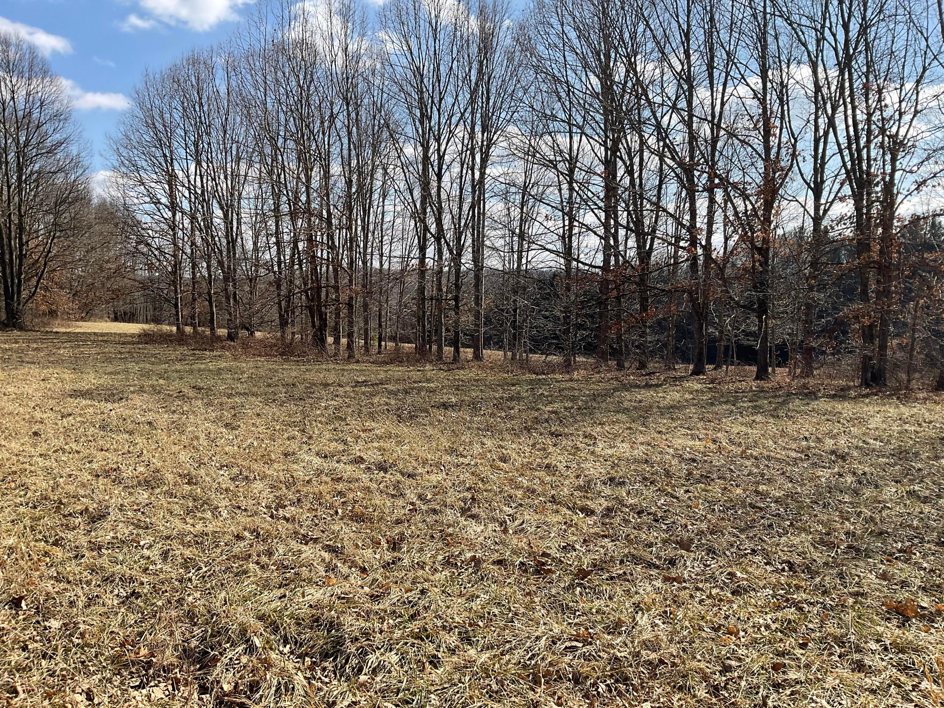 0 Mainesville Road E Property Photo 7