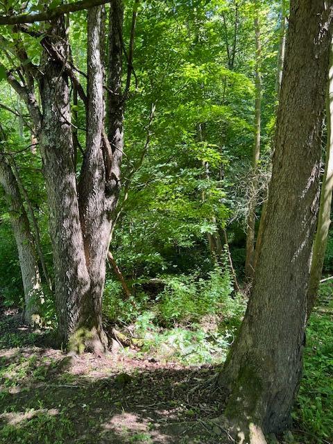 23769 State Route 327 Property Photo 13