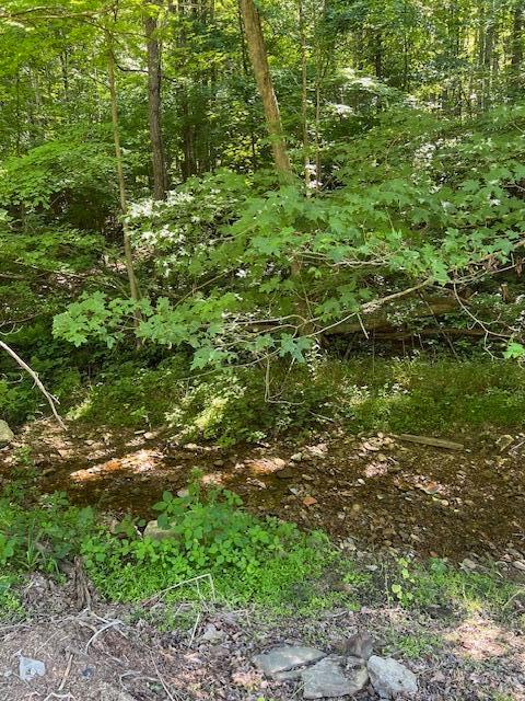 23769 State Route 327 Property Photo 15