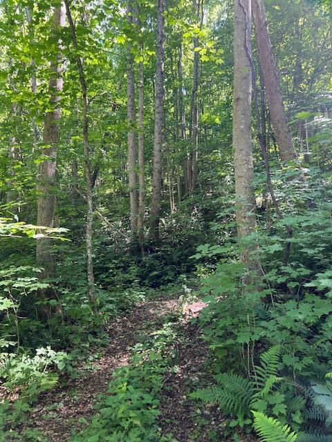 23769 State Route 327 Property Photo 16