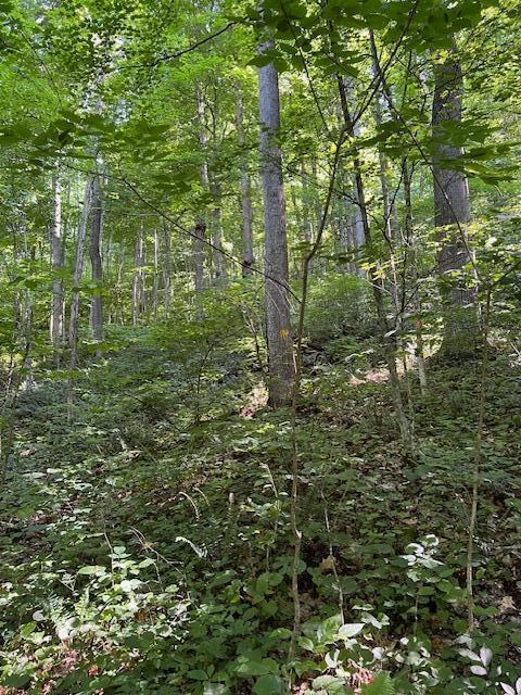 23769 State Route 327 Property Photo 19