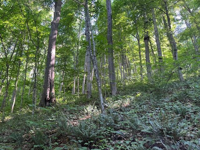 23769 State Route 327 Property Photo 21