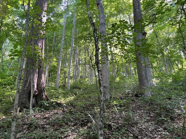 23769 State Route 327 Property Photo 22