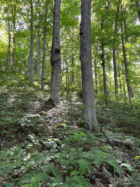 23769 State Route 327 Property Photo 23