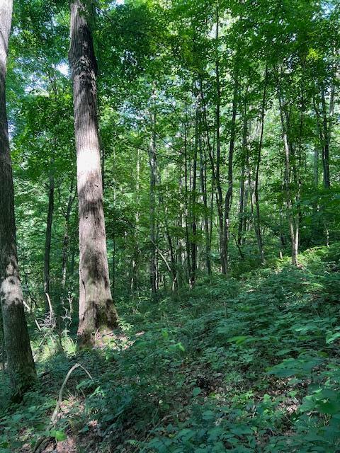 23769 State Route 327 Property Photo 24